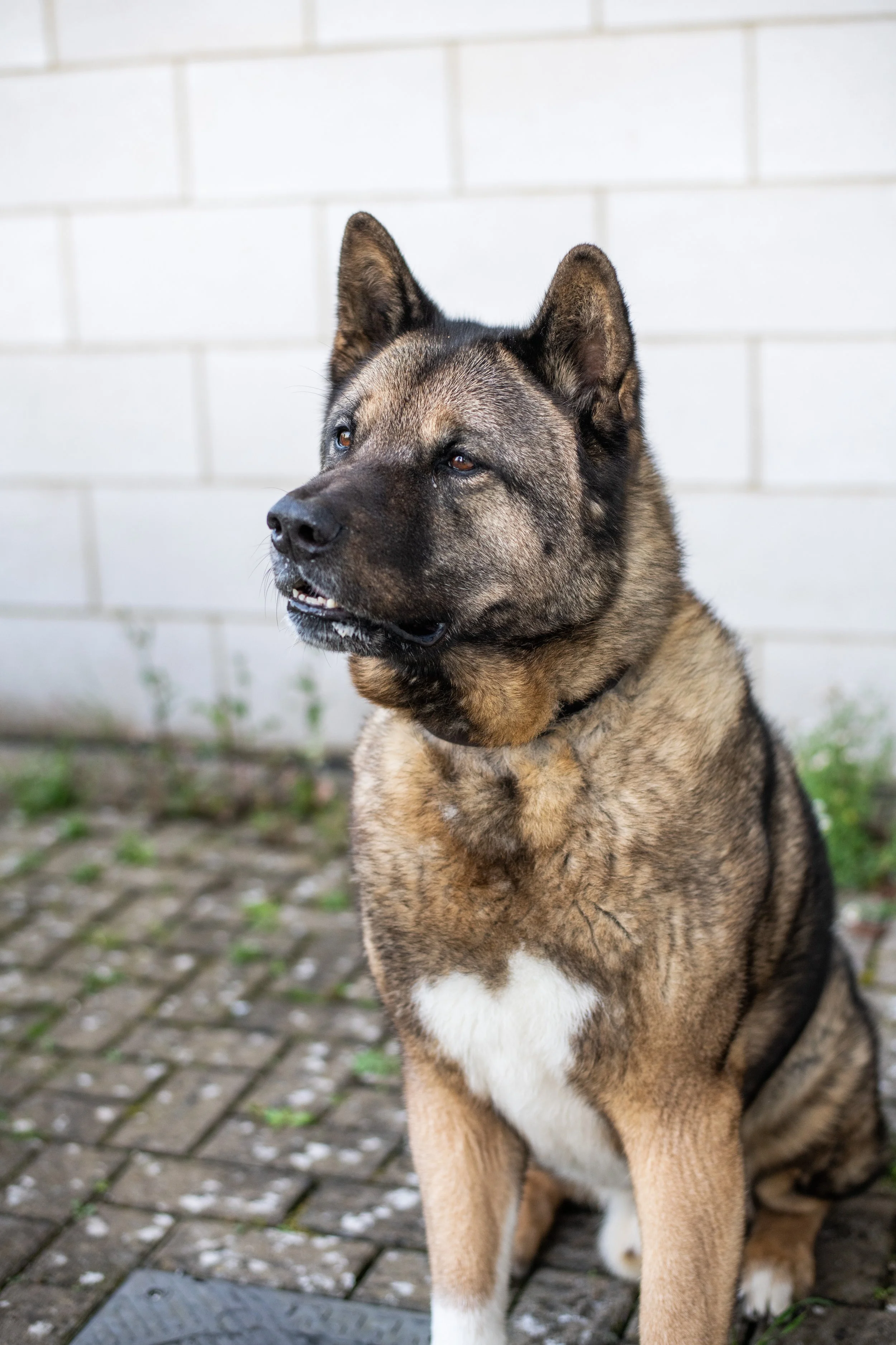 Copy of DSC_3764.jpg