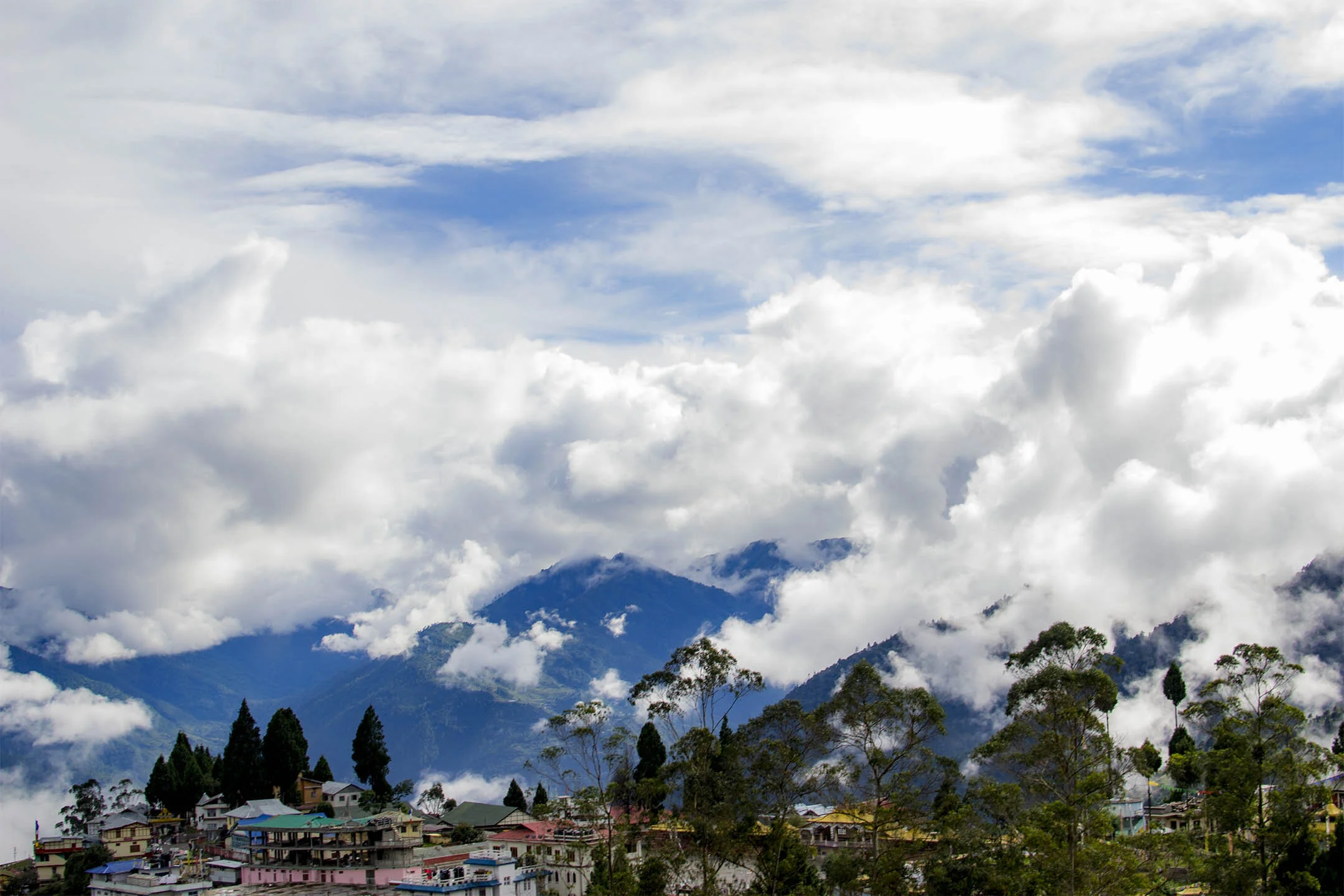 DSC_5395.jpg