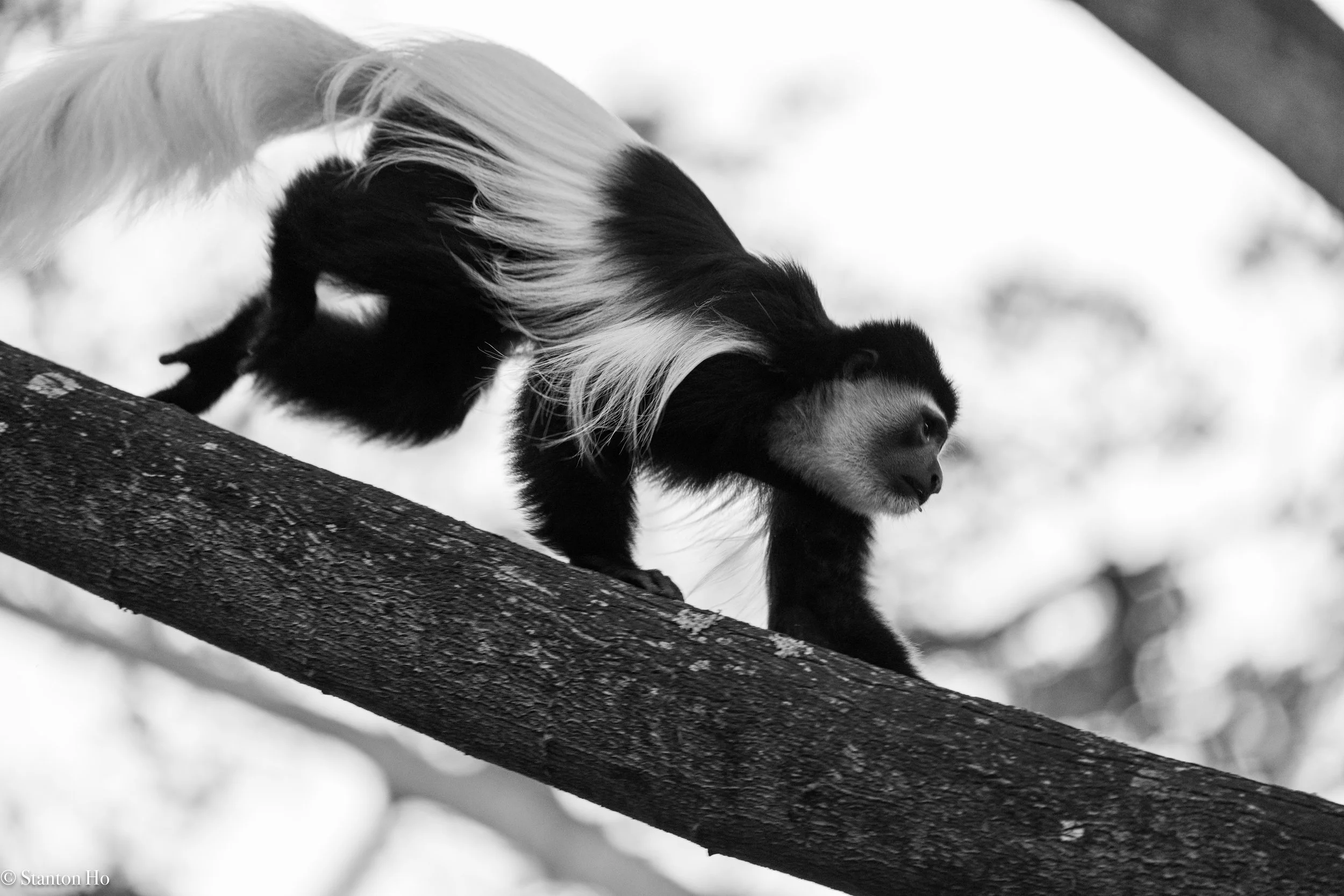 Tanzania Stanton-2.jpg