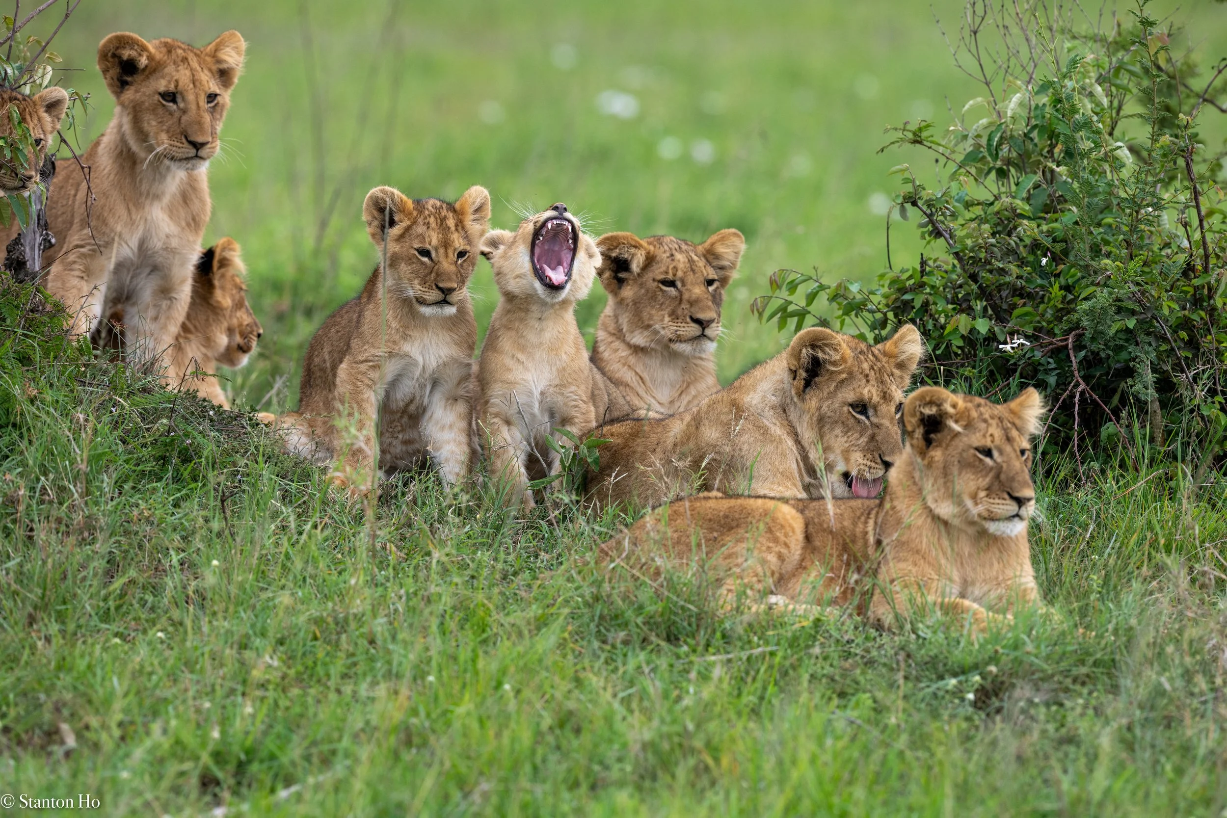 Tanzania Stanton-57.jpg