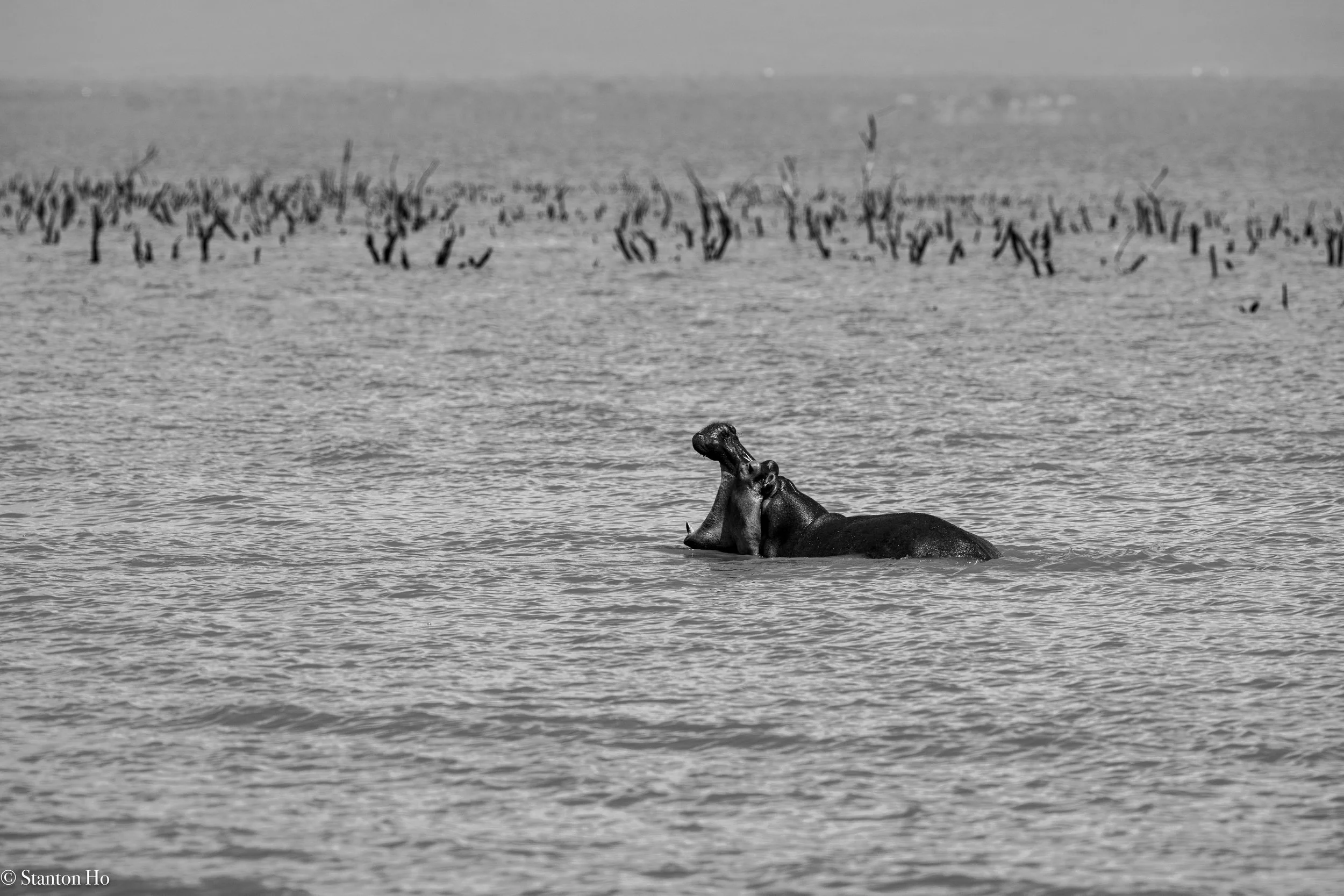 Tanzania Stanton-7.jpg