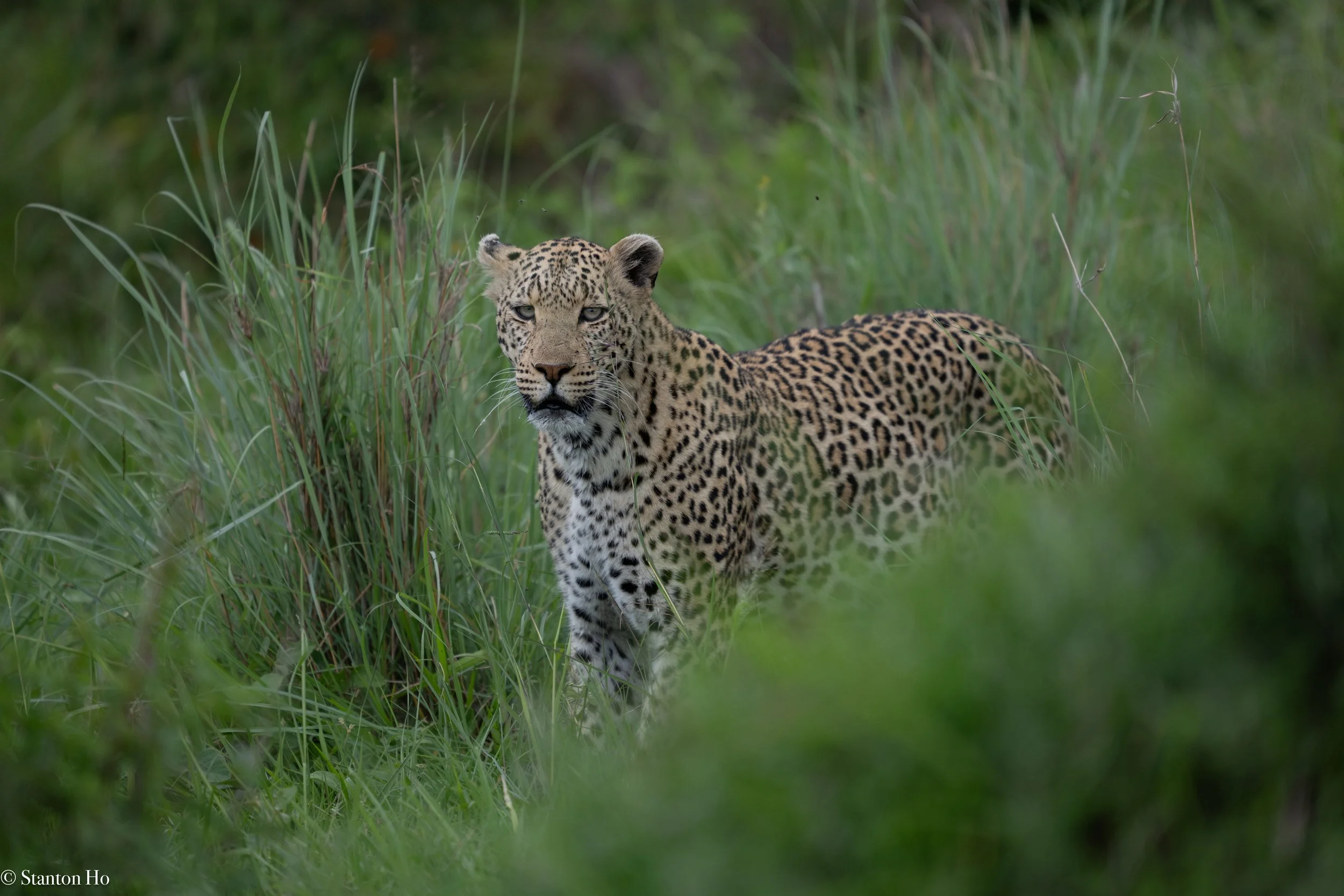 Tanzania Stanton-53.jpg