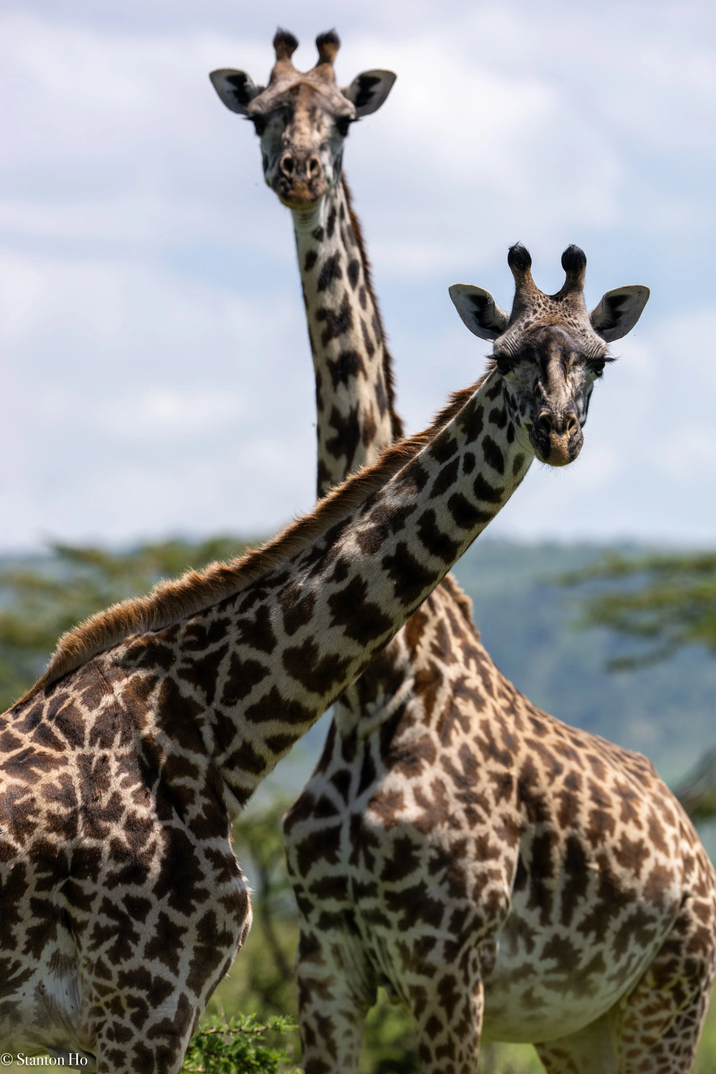 Tanzania Stanton-45.jpg