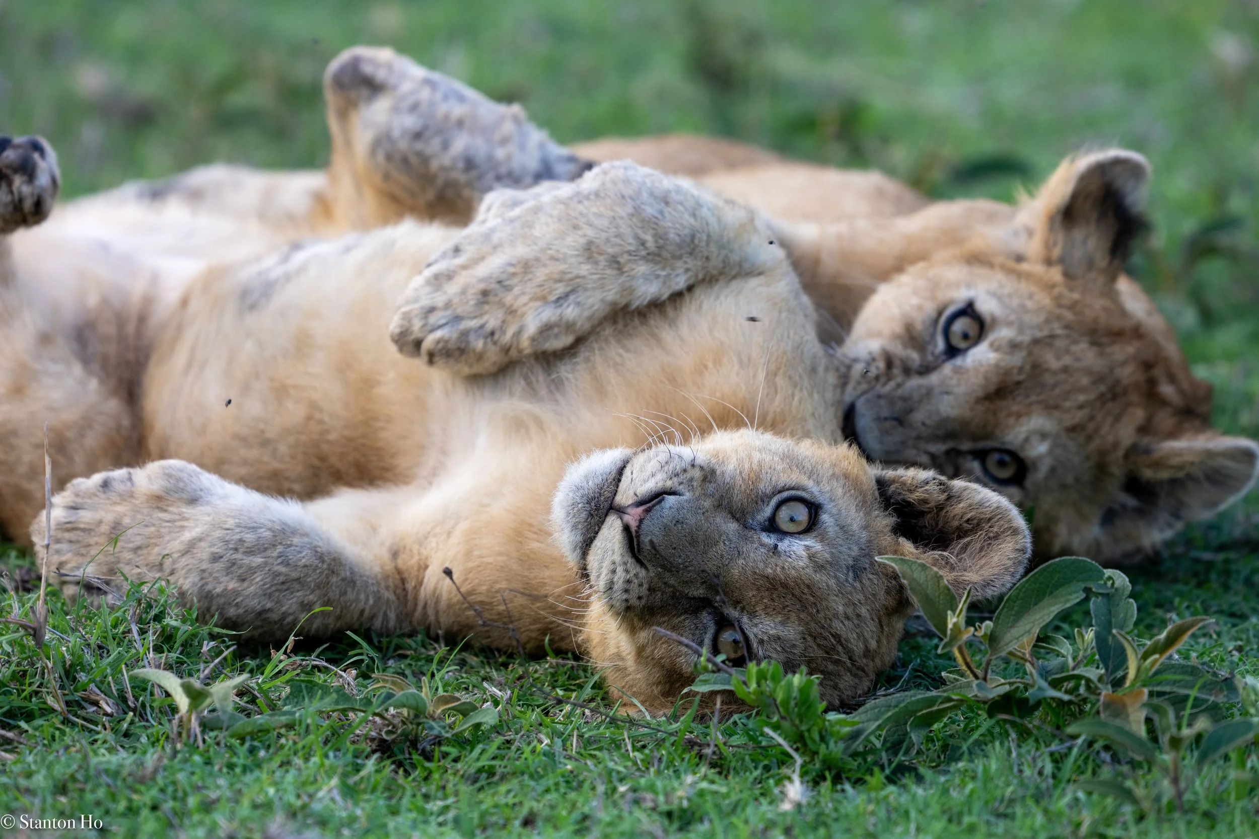 Tanzania Stanton-33.jpg