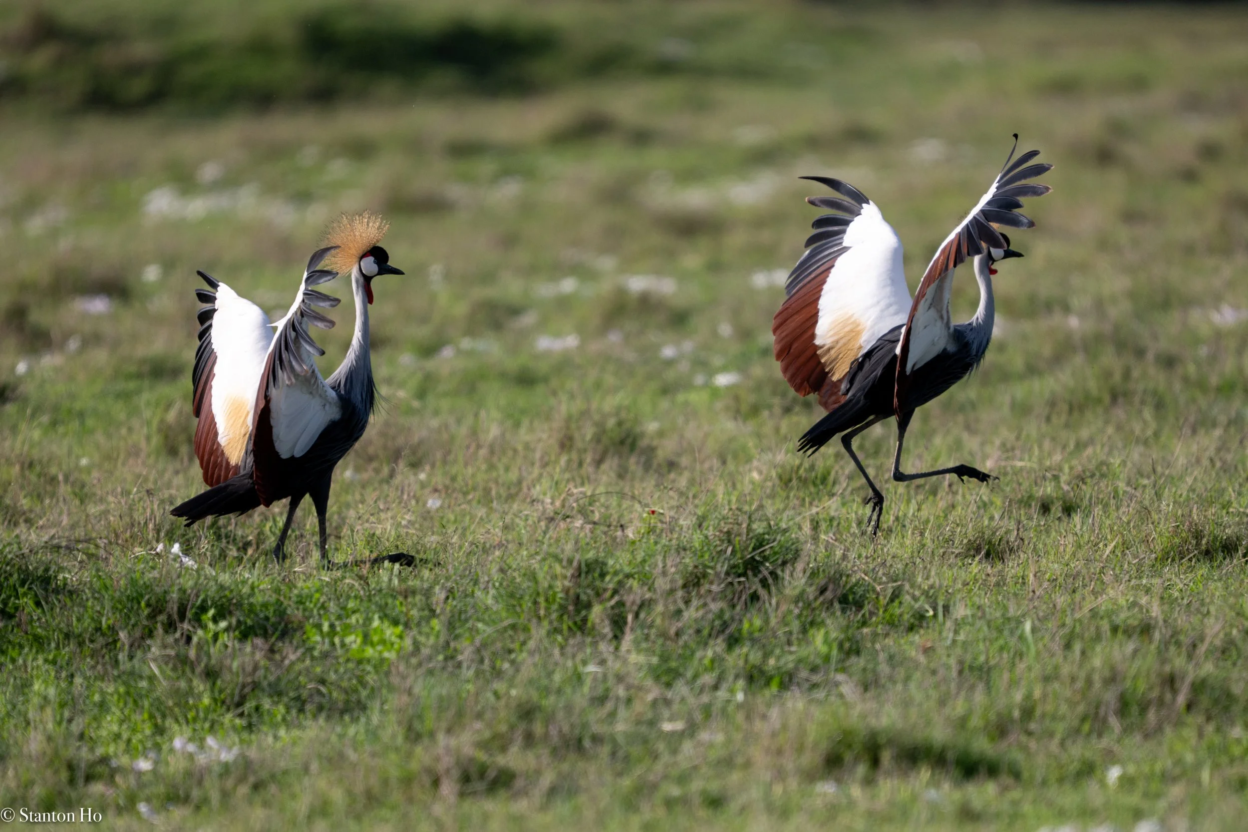 Tanzania Stanton-21.jpg