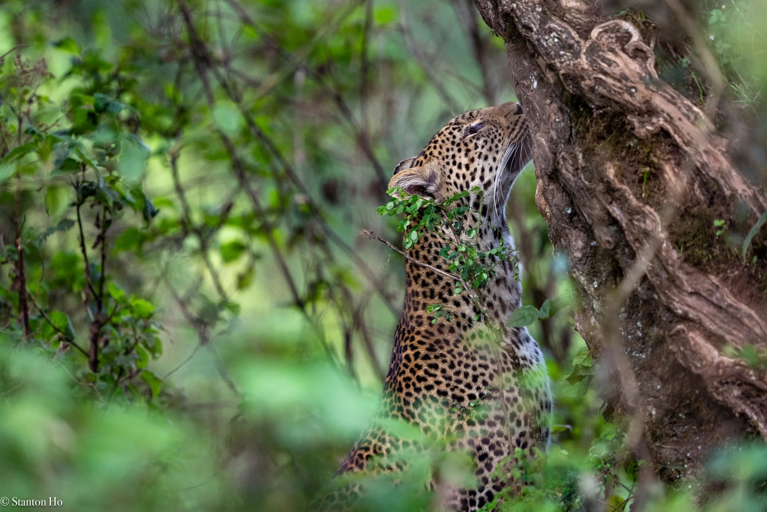 Tanzania Stanton-11.jpg