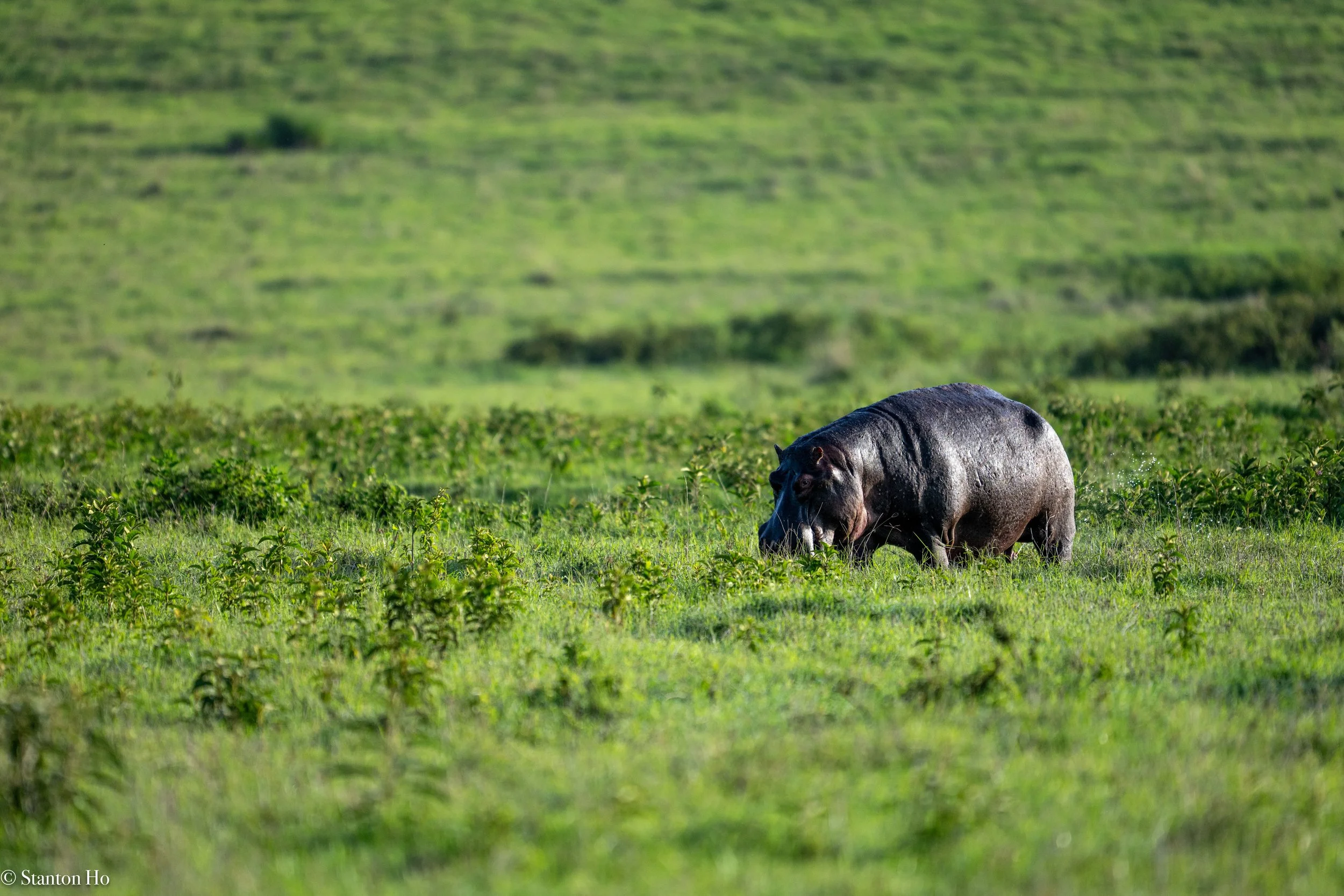 Tanzania Stanton-15.jpg