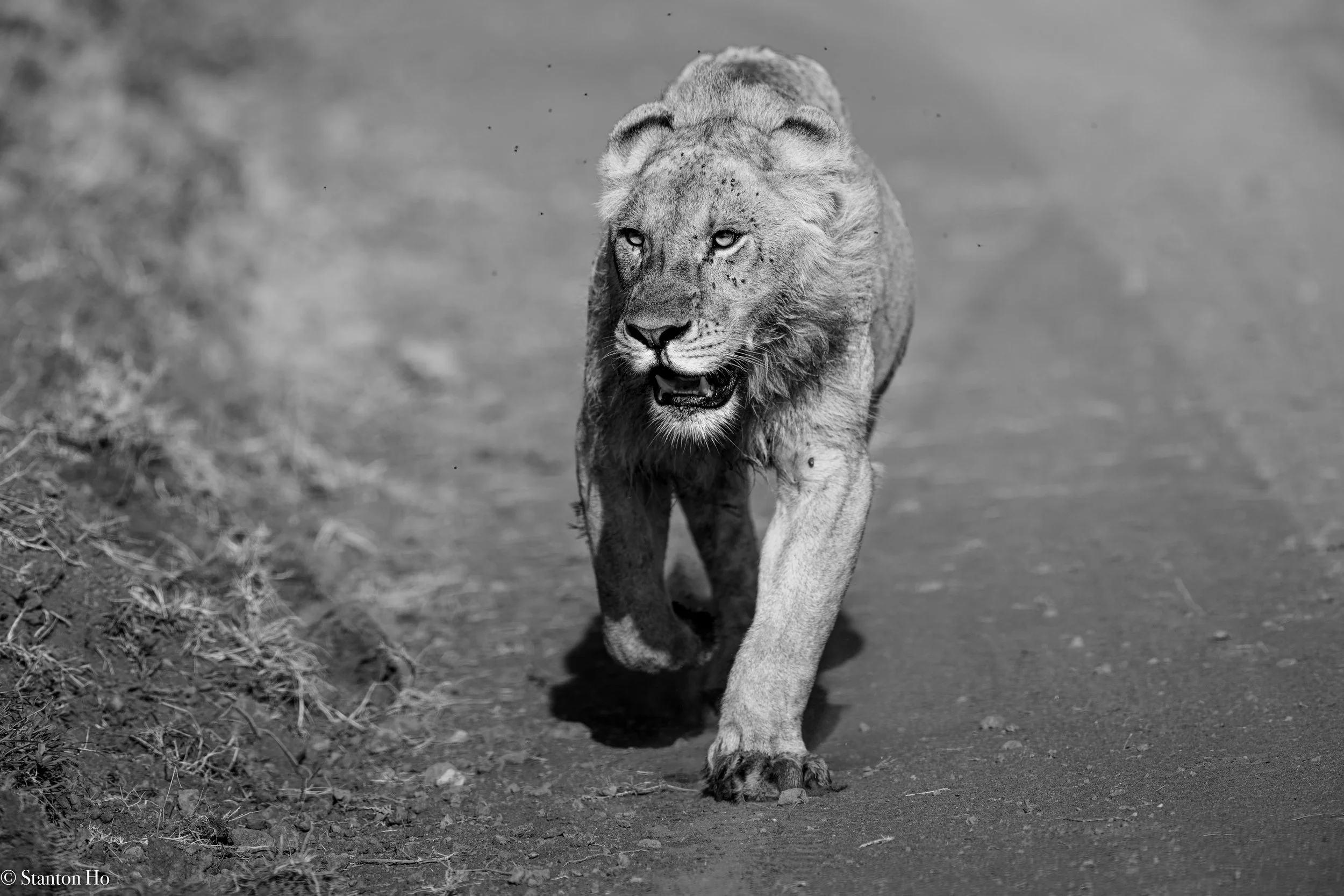 Tanzania Stanton-24.jpg