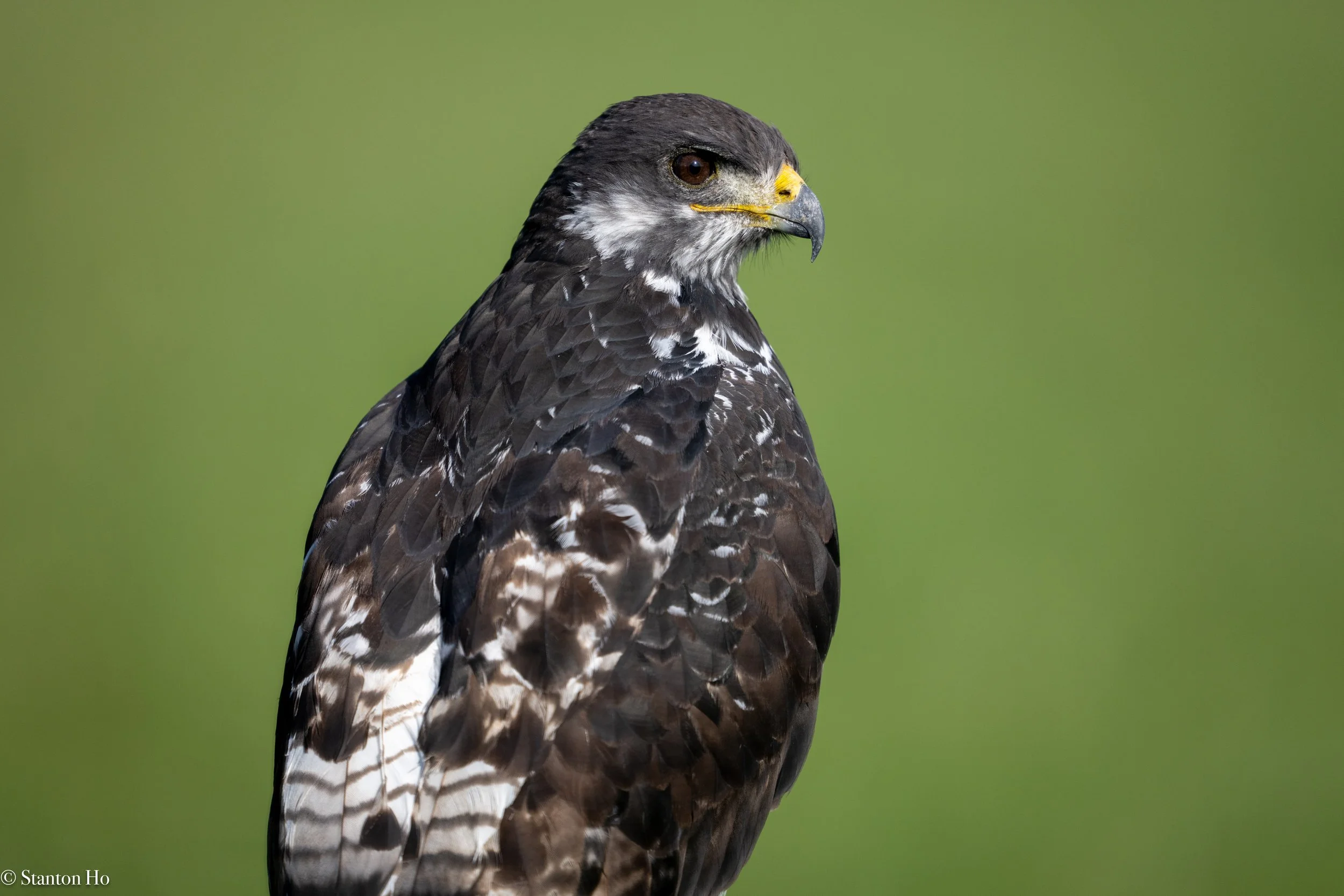 Tanzania Stanton-20.jpg