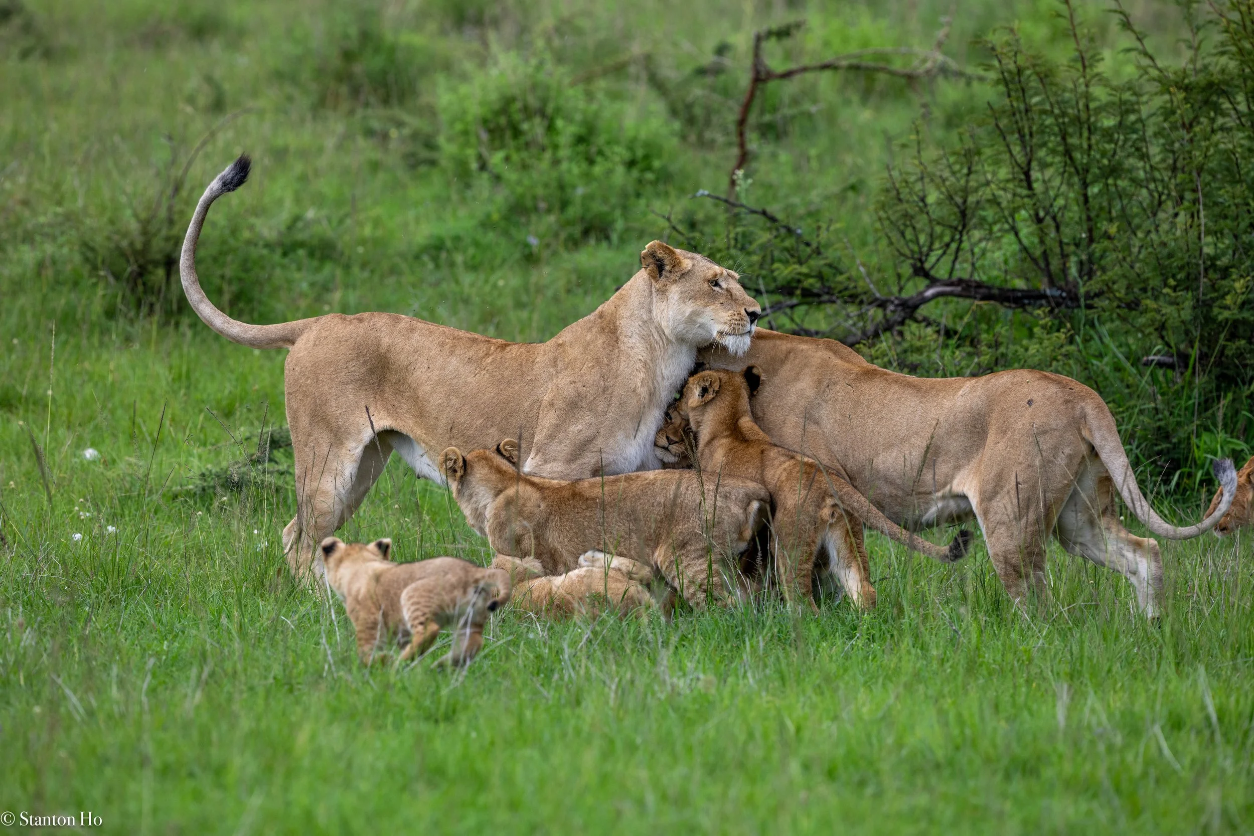 Tanzania Stanton-58.jpg