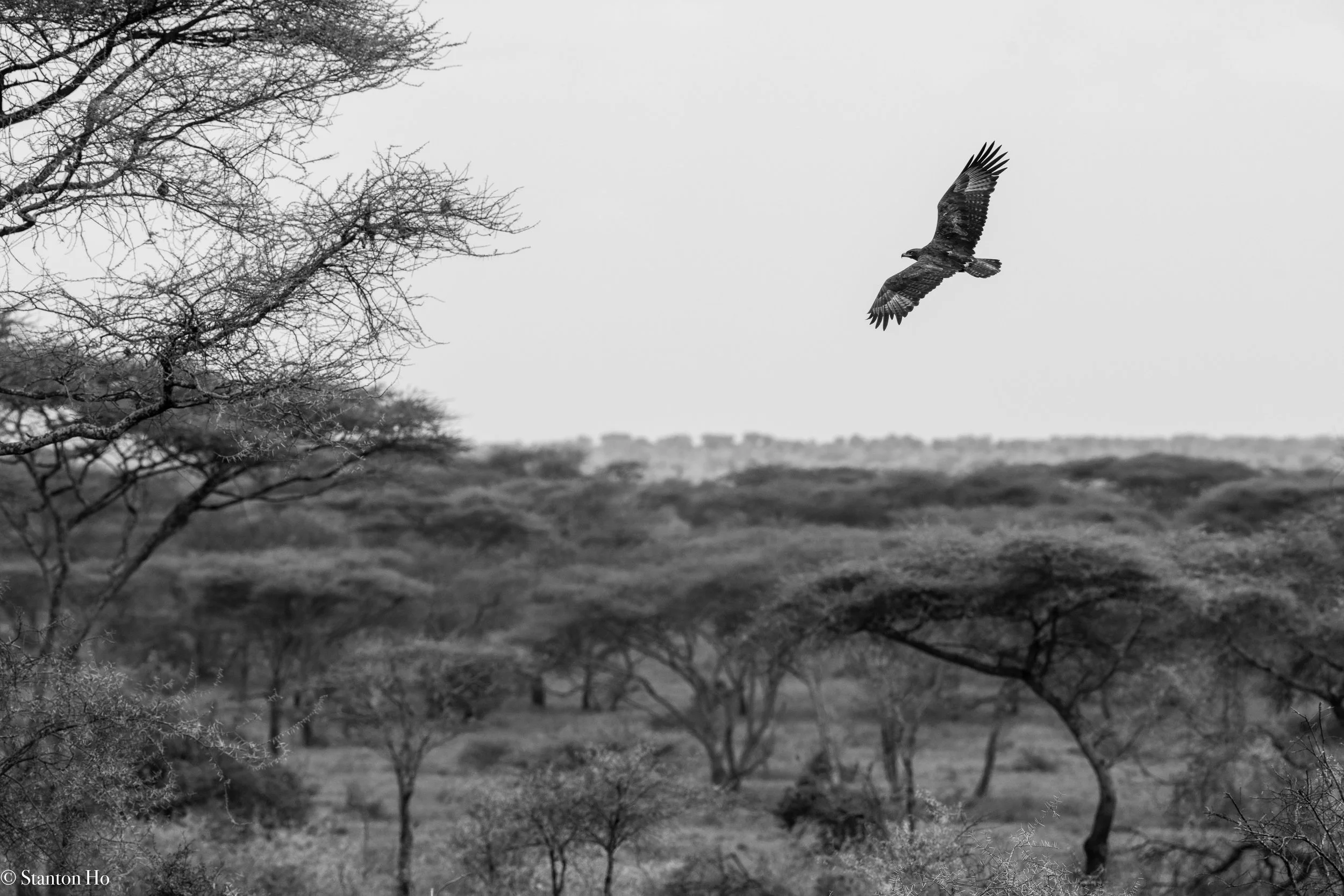 Tanzania Stanton-30.jpg