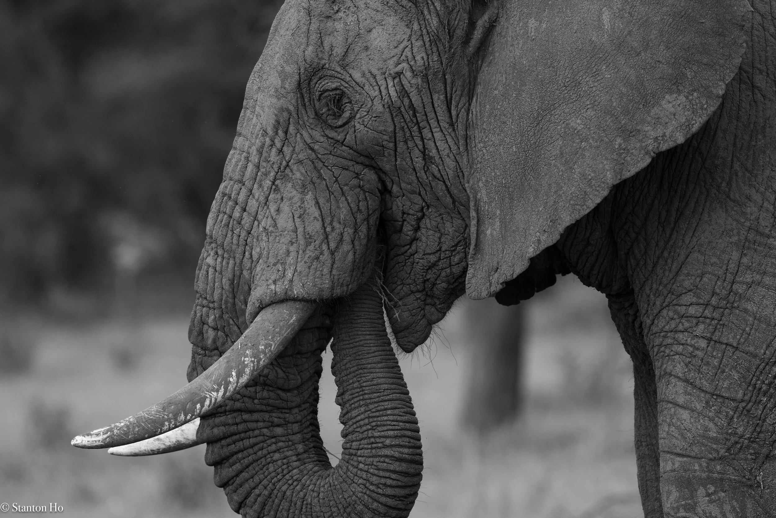 Tanzania Stanton-46.jpg