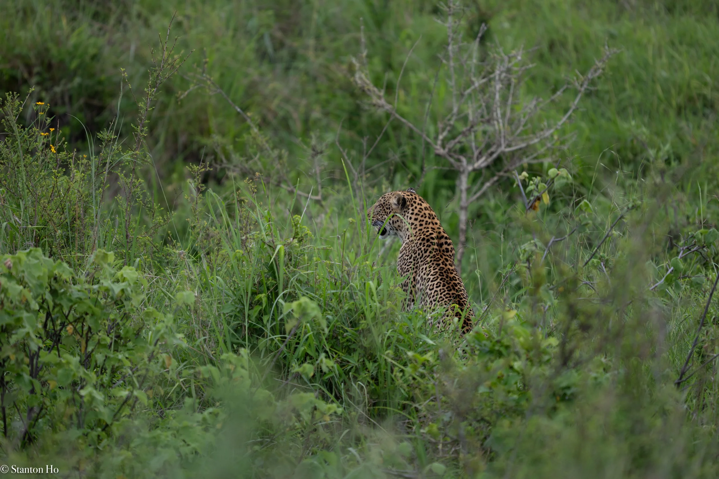 Tanzania Stanton-52.jpg