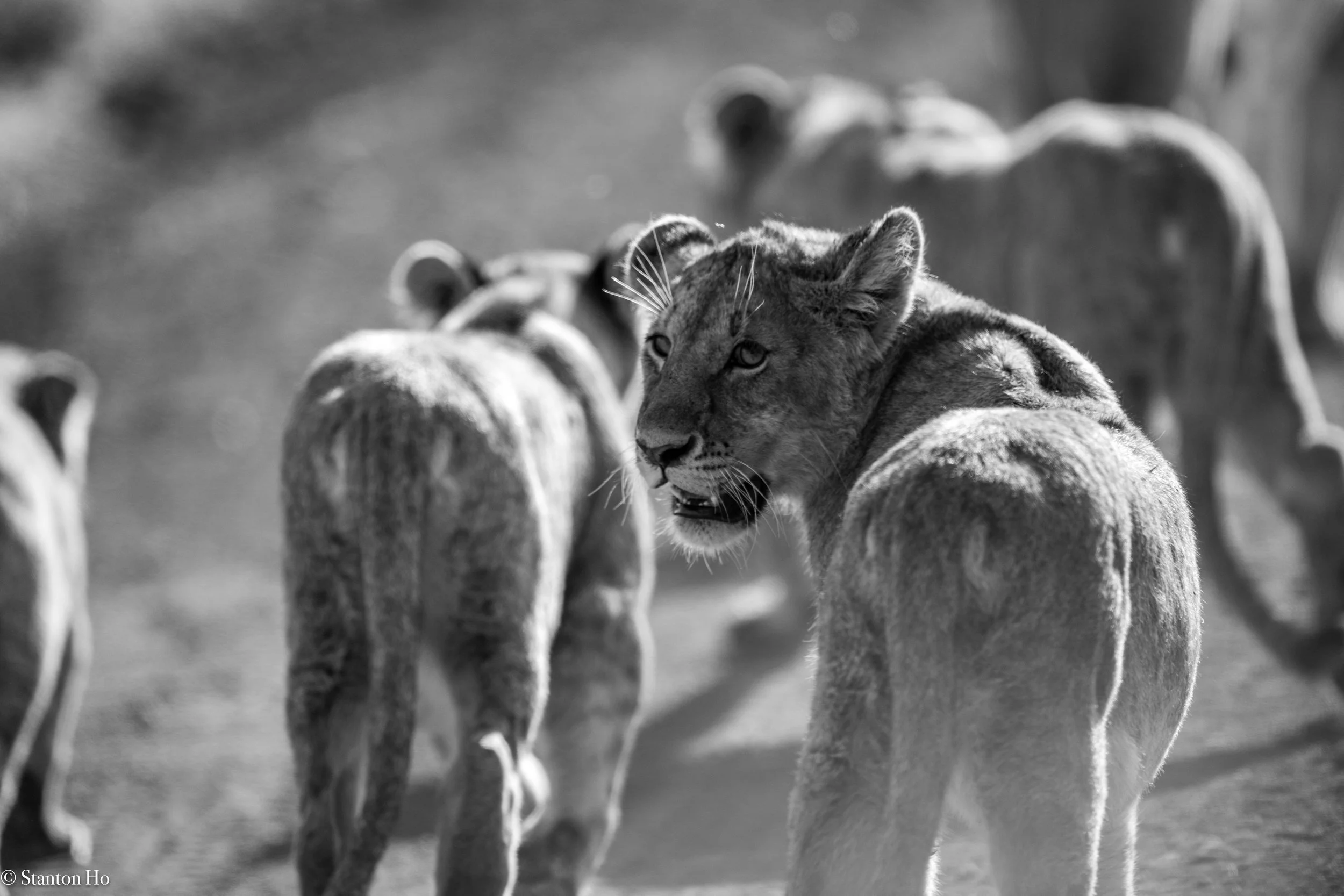 Tanzania Stanton-23.jpg