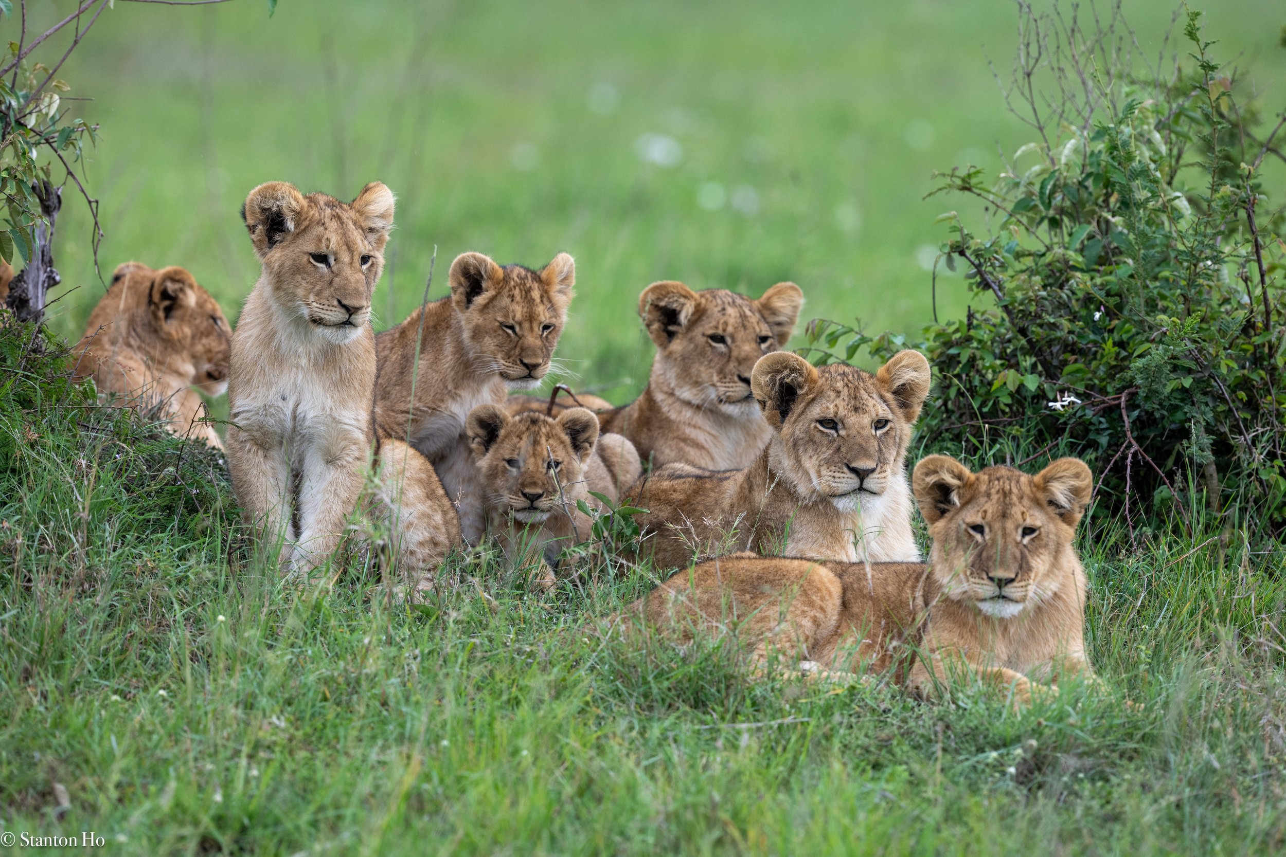 Tanzania Stanton-56.jpg