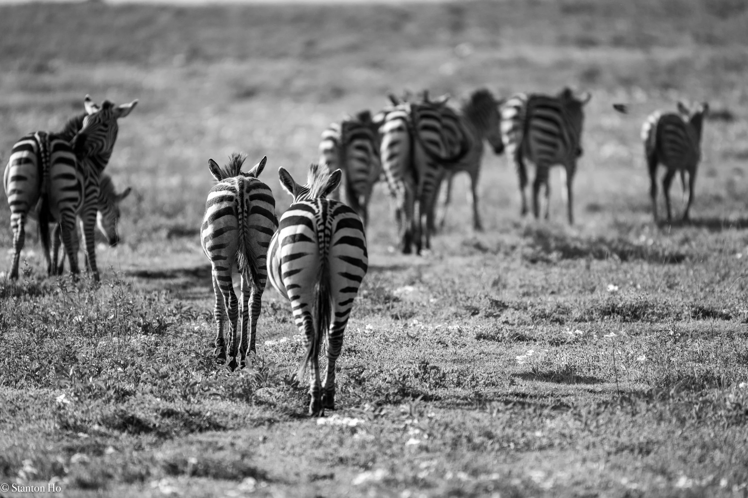 Tanzania Stanton-22.jpg