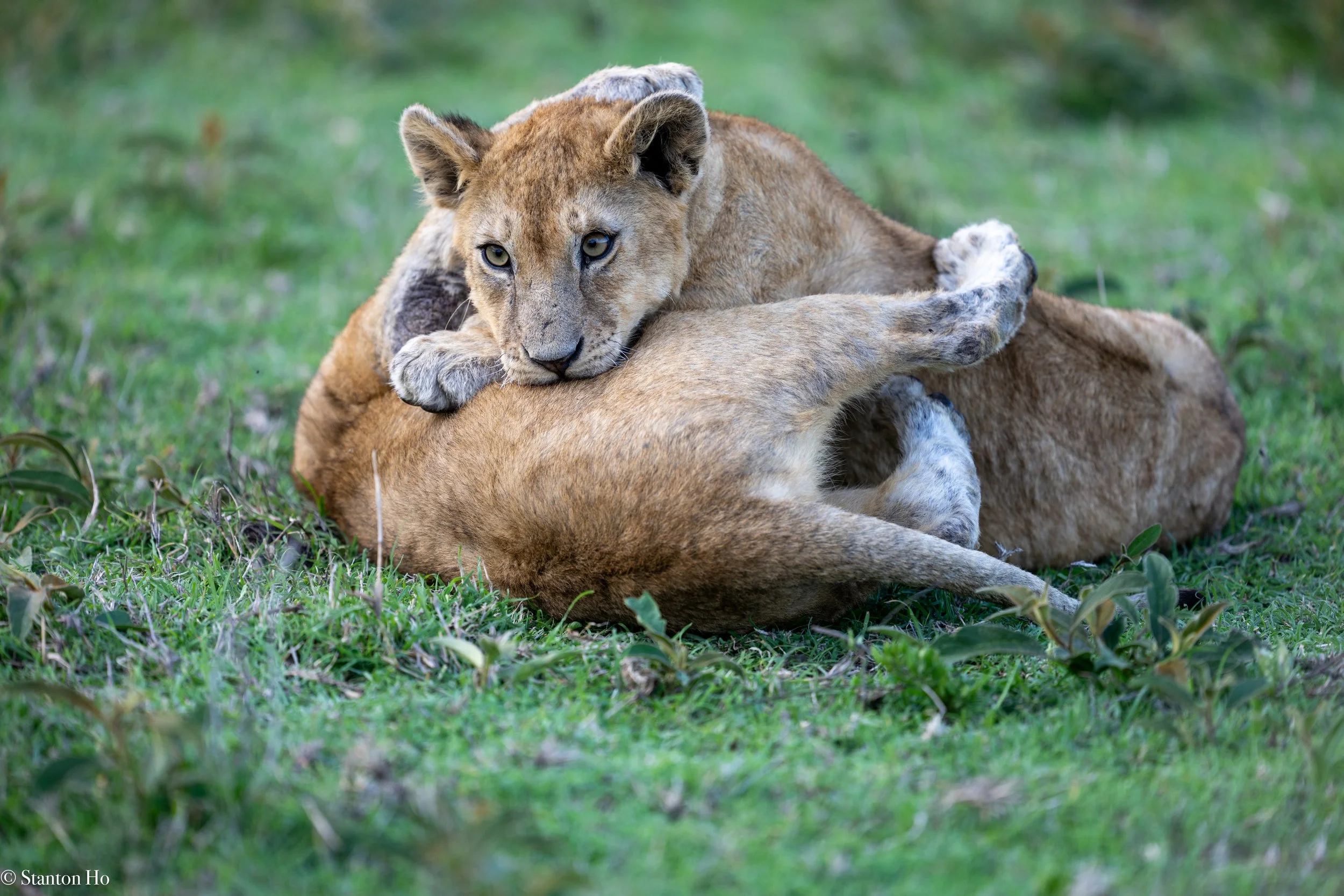 Tanzania Stanton-32.jpg