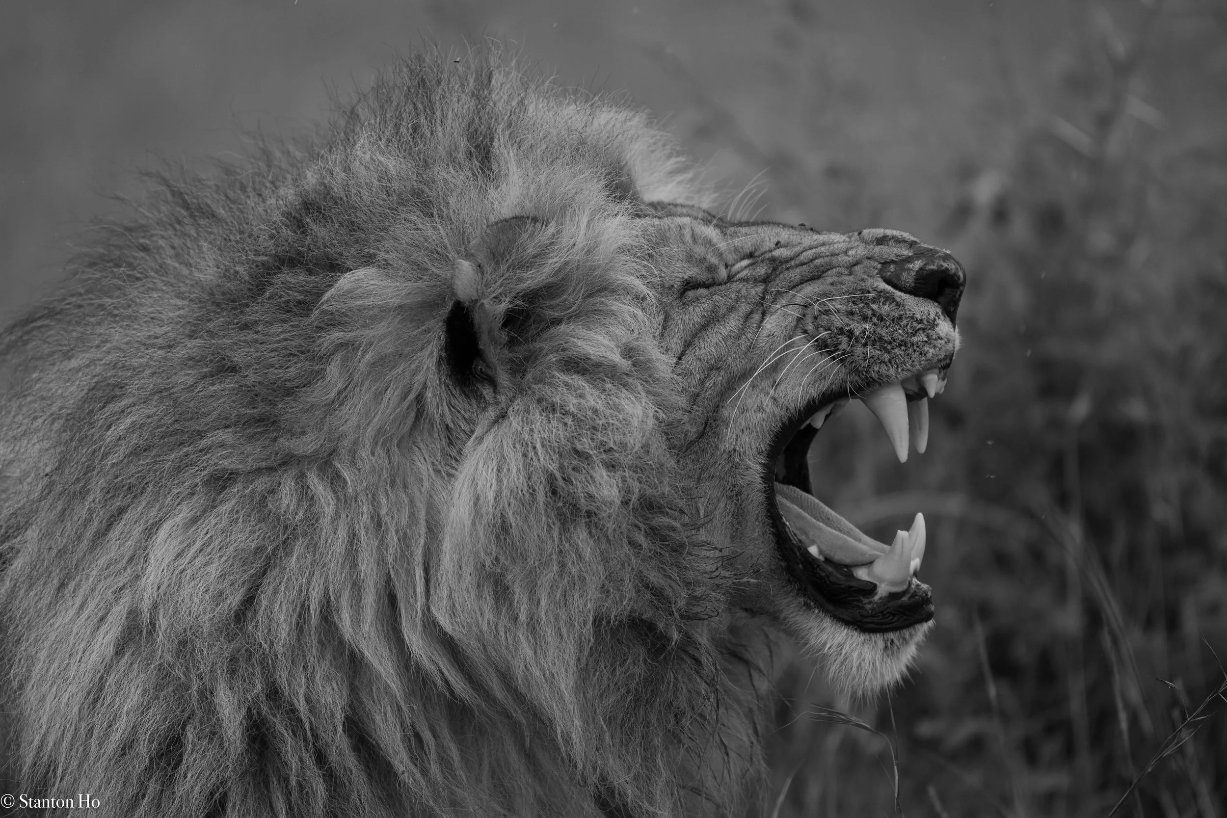 Tanzania Stanton-59.jpg