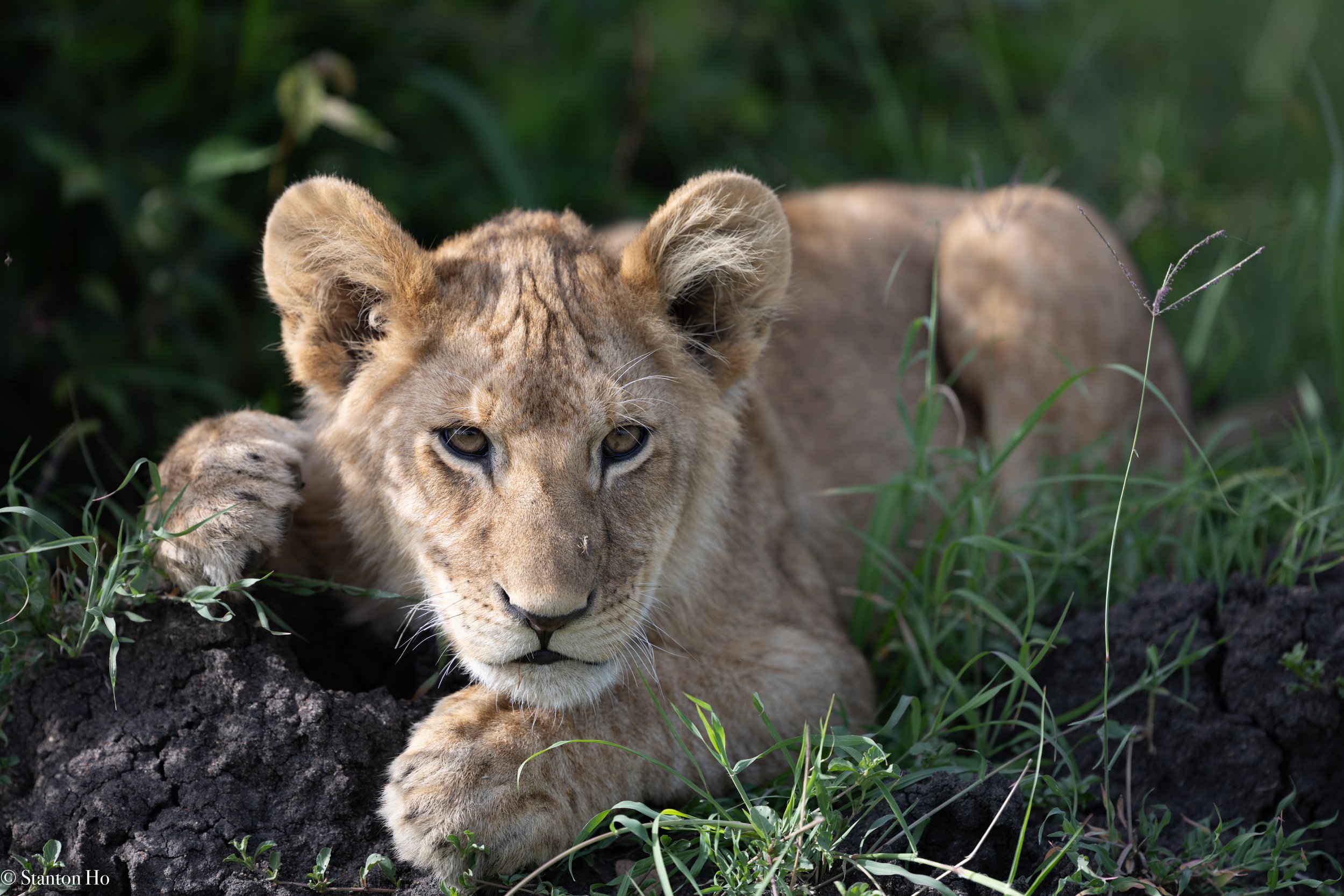 Tanzania Stanton-48.jpg