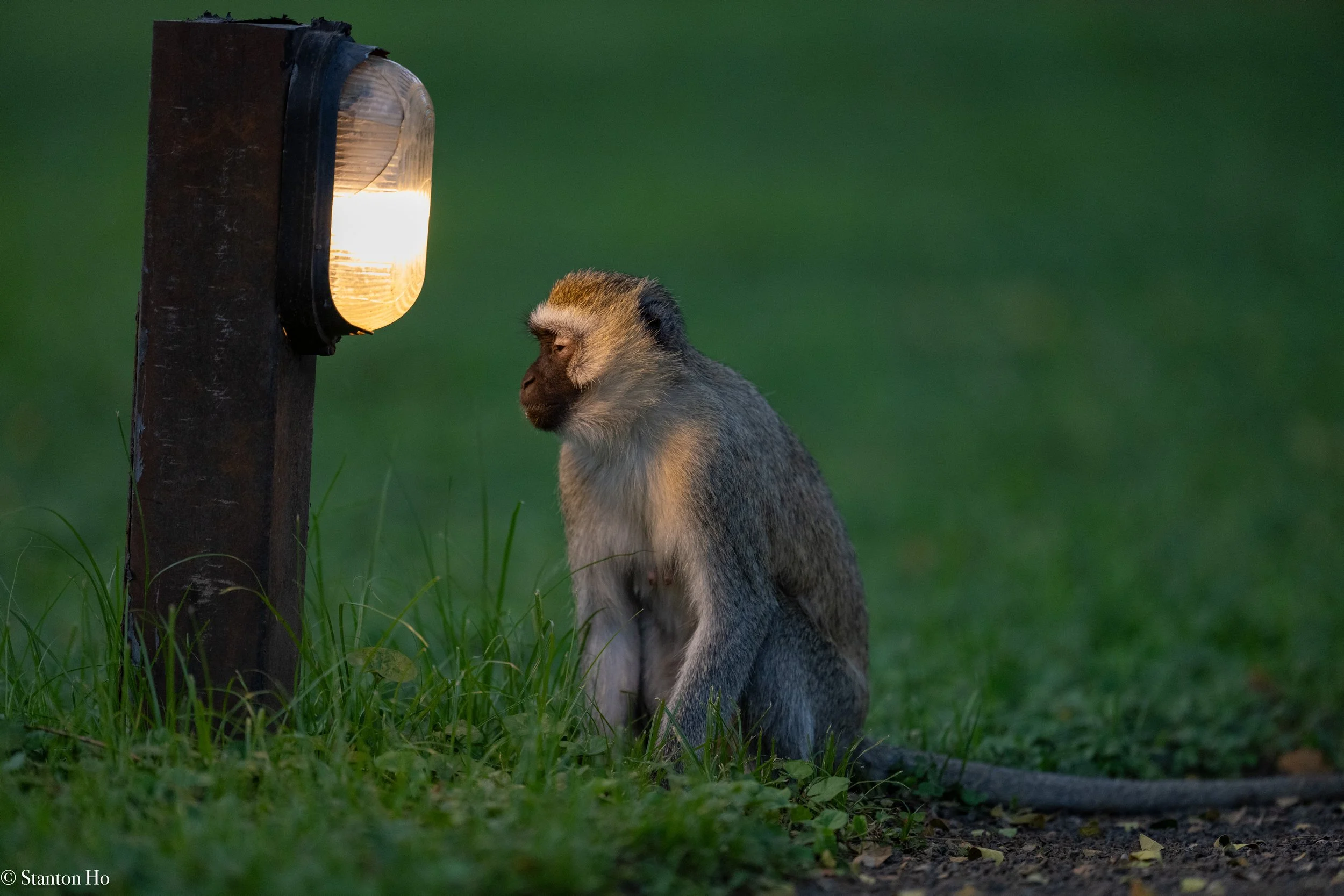 Tanzania Stanton-1.jpg