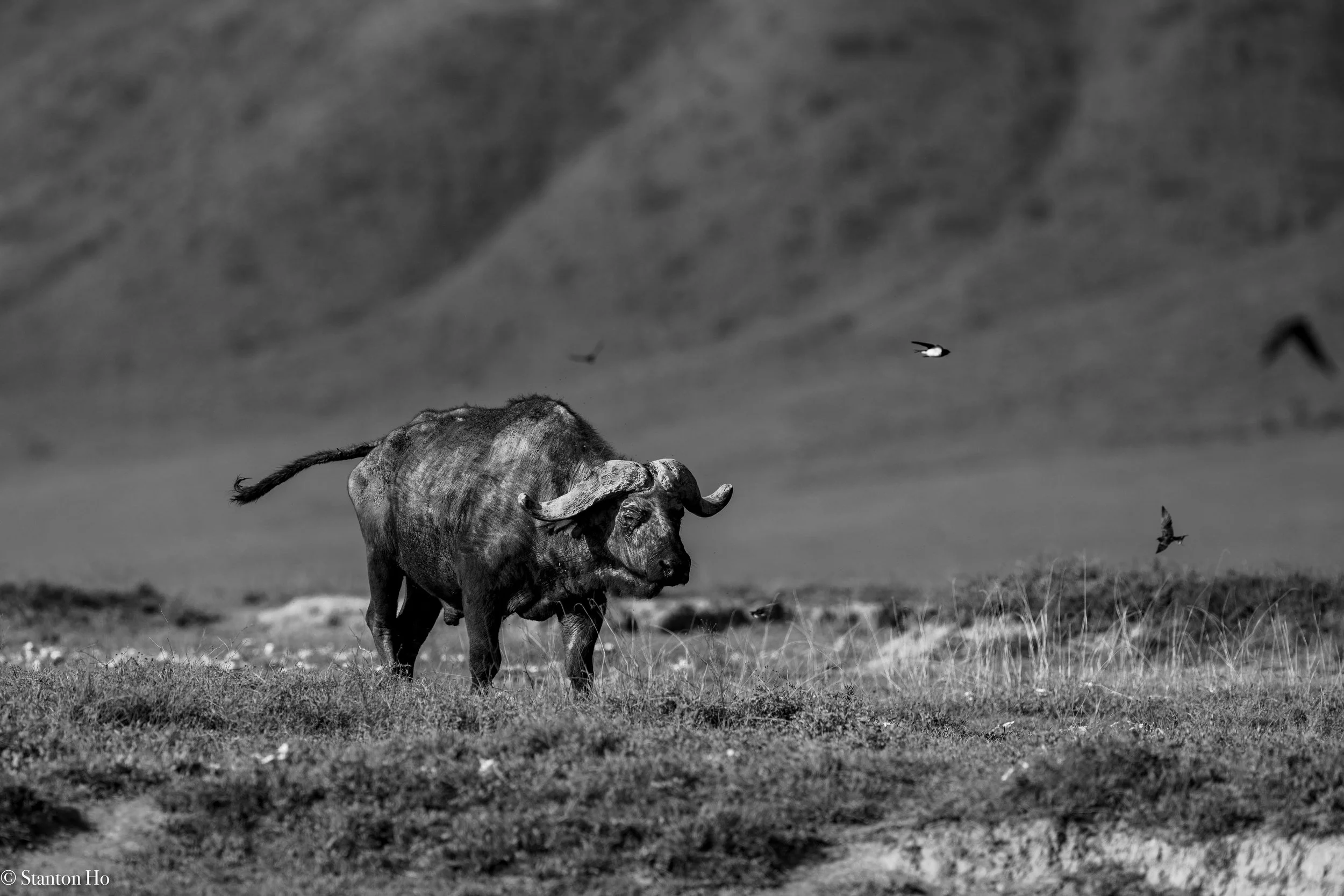 Tanzania Stanton-25.jpg