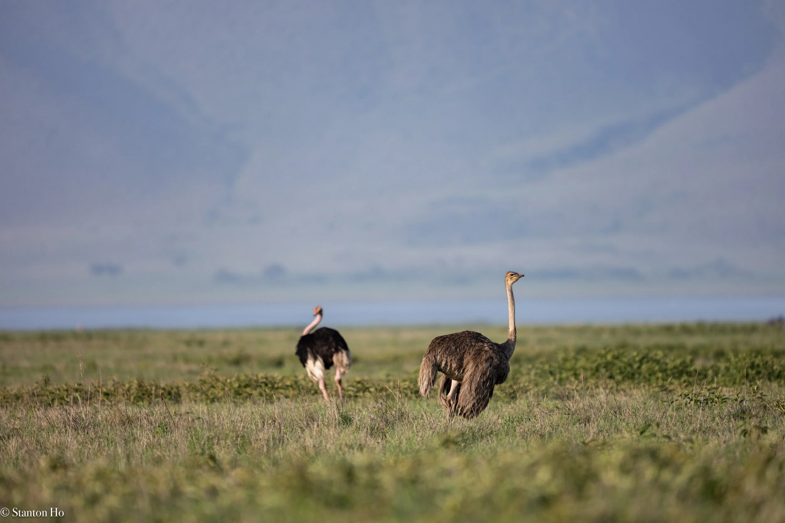 Tanzania Stanton-14.jpg