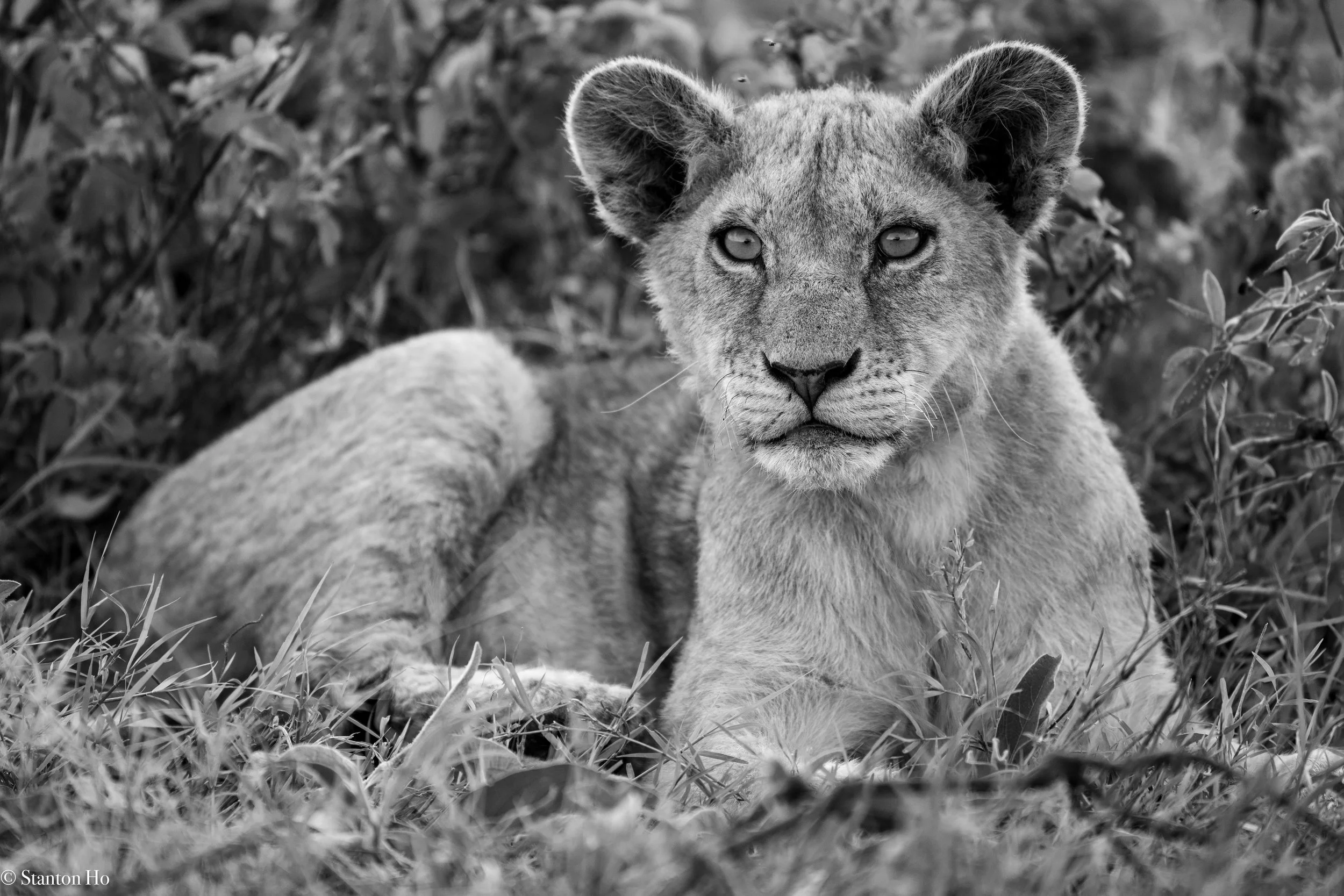 Tanzania Stanton-31.jpg