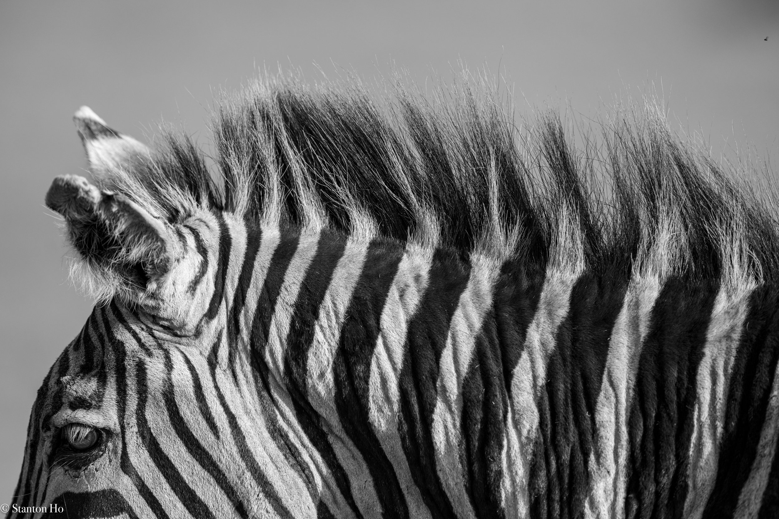 Tanzania Stanton-18.jpg