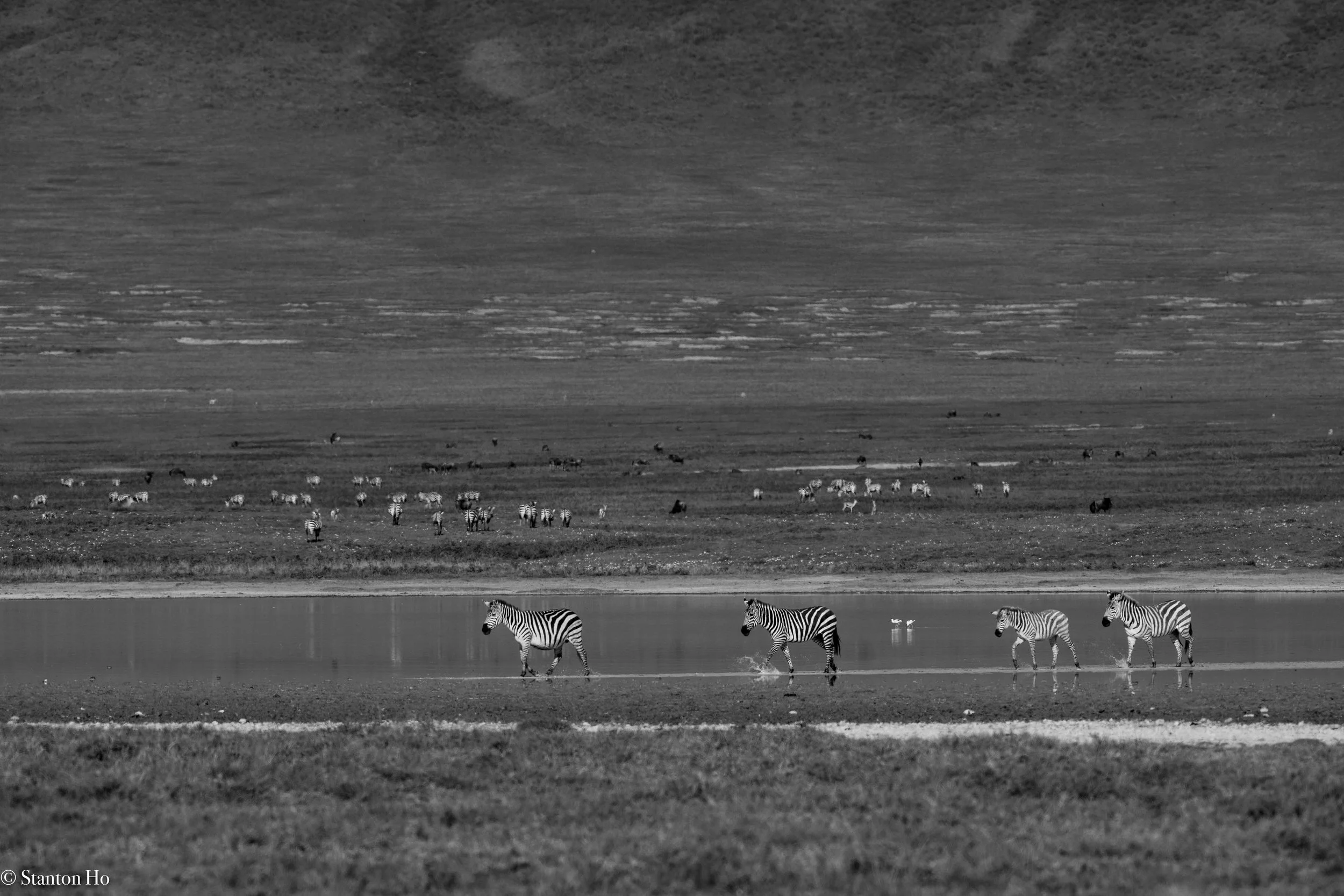 Tanzania Stanton-26.jpg