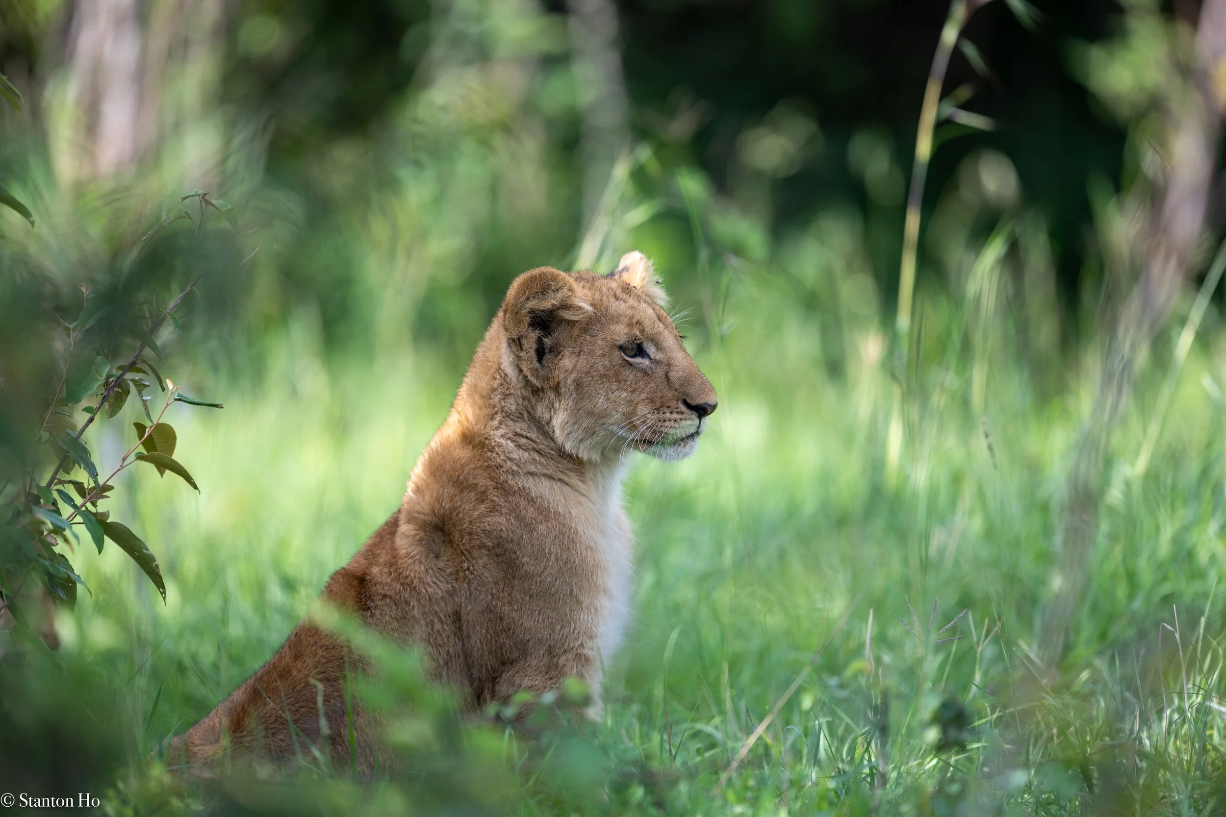 Tanzania Stanton-49.jpg