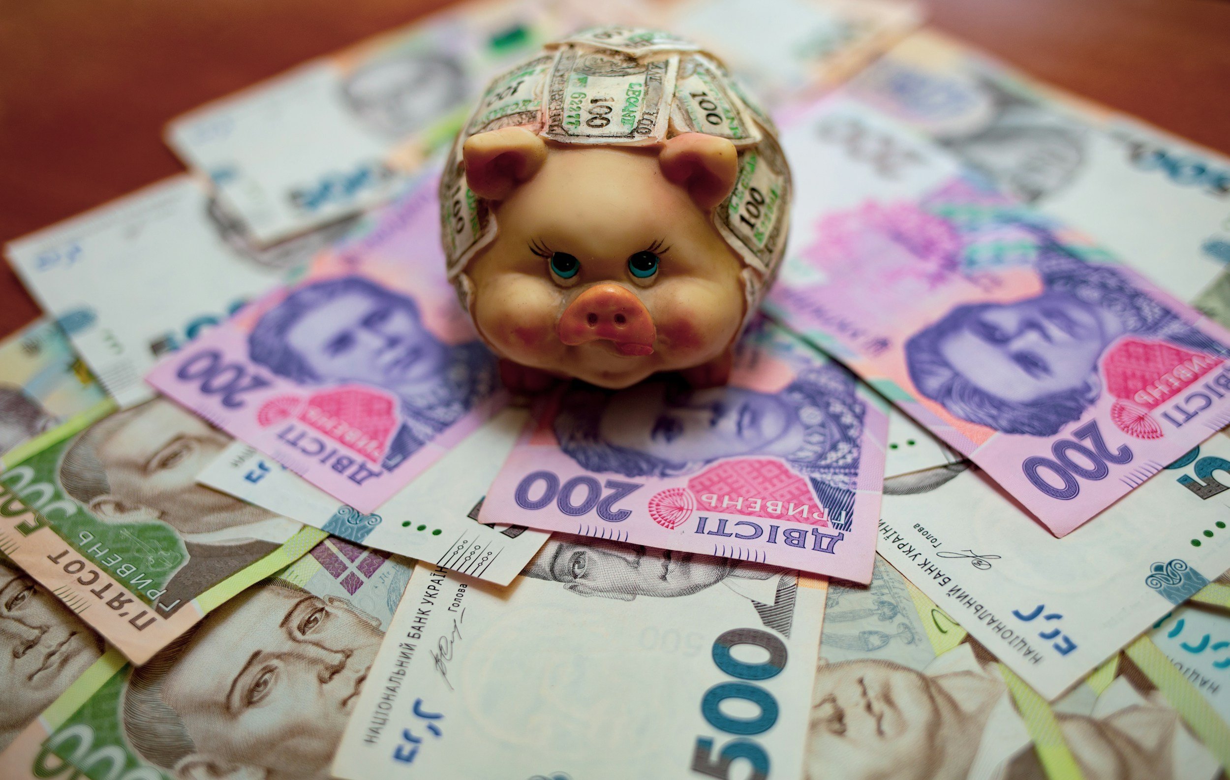image of piggybank covered in 100  dollar bills set on top of different Russian colored ruble notes
