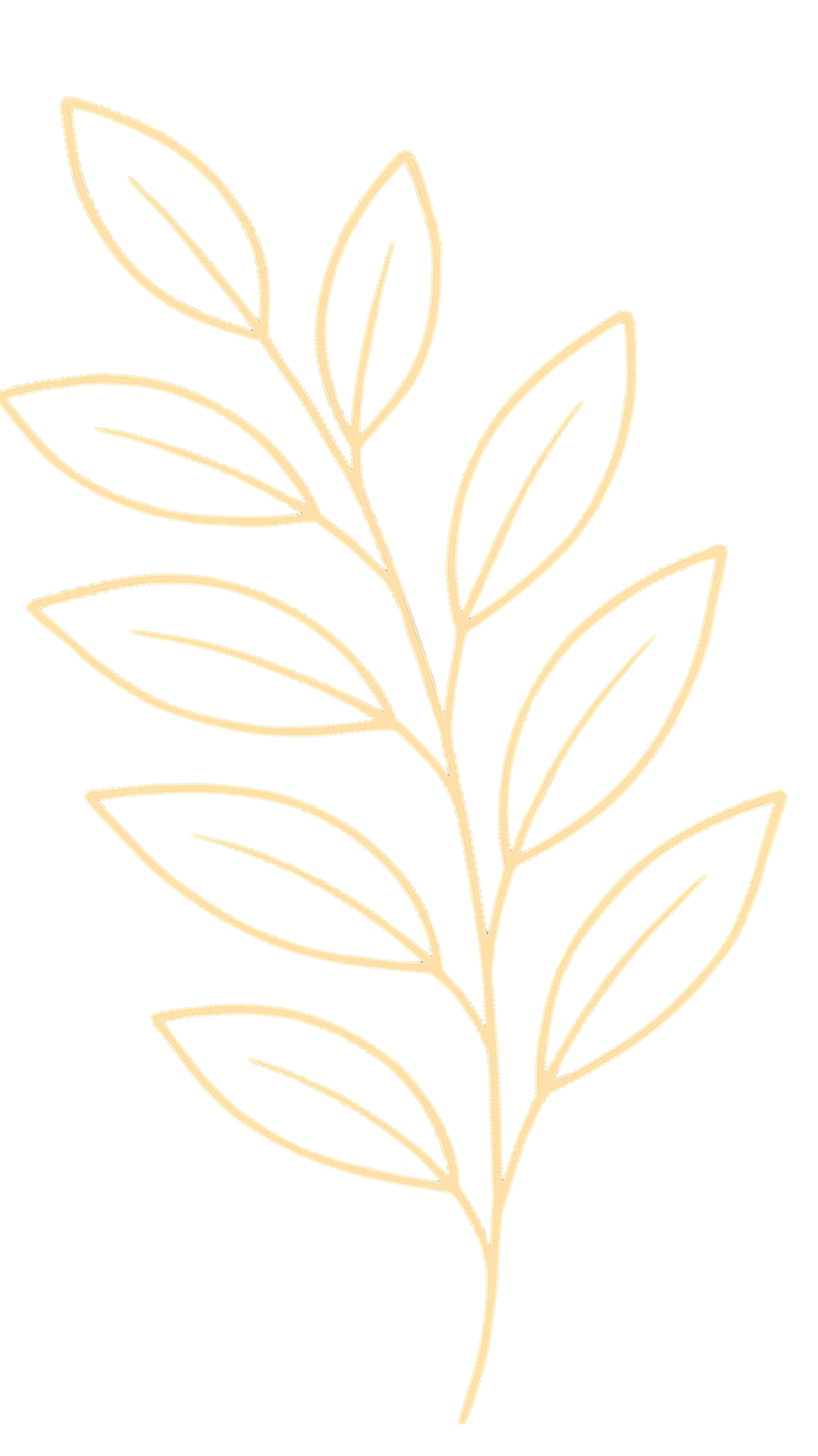 A minimalist illustration of a beige or gold leaf branch on a black background.
