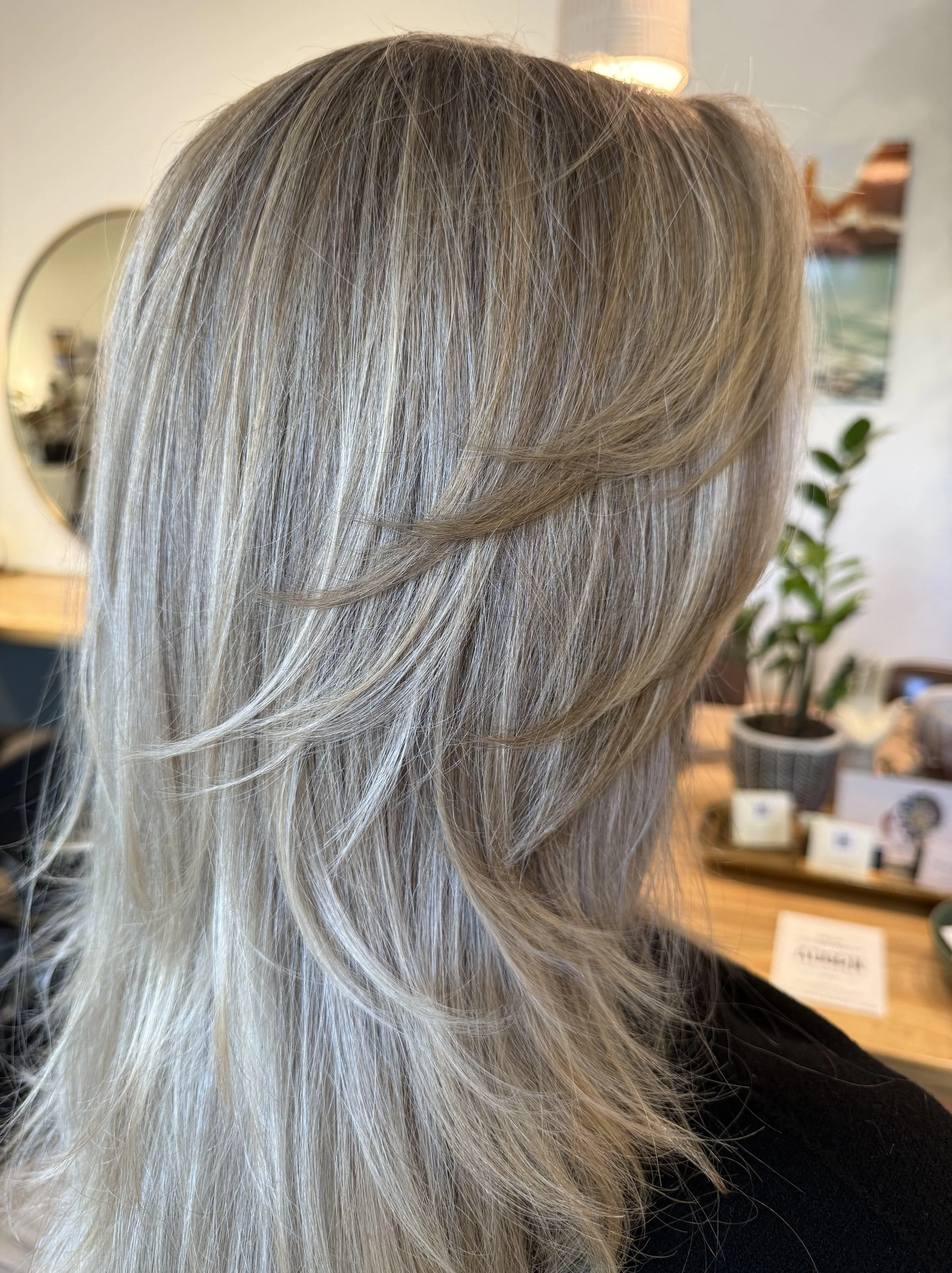 Close-up of a woman's side profile with shoulder-length, layered, silver-blonde hair in a salon setting.
