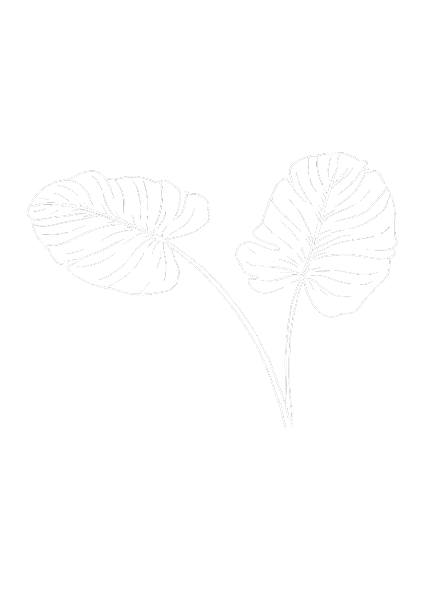 Line drawing of two large leaves connected by stems on a black background.