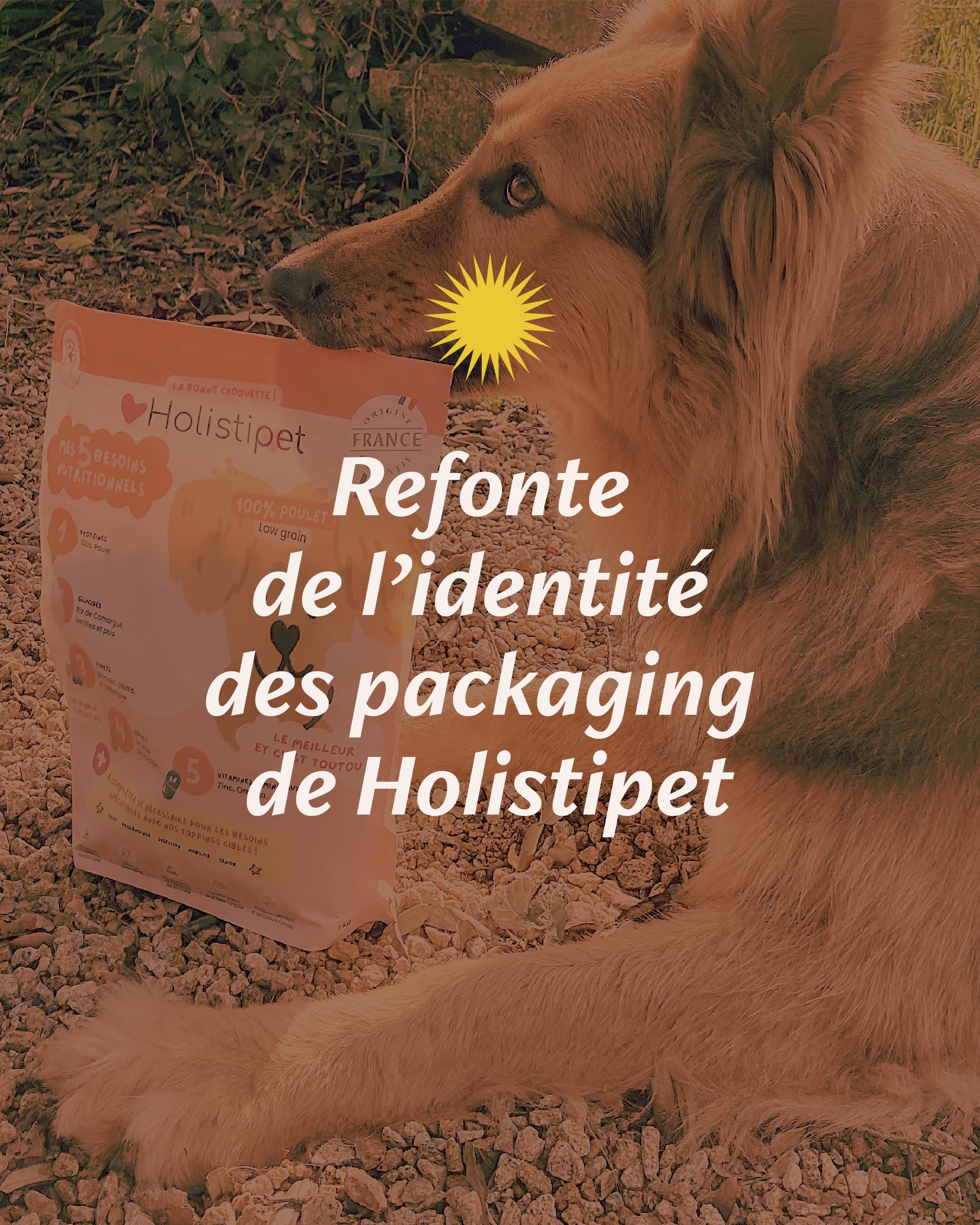 Refonte de l’identité des packaging de Holistipet