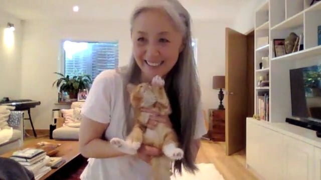 YSLM Reflex 12, Rolling