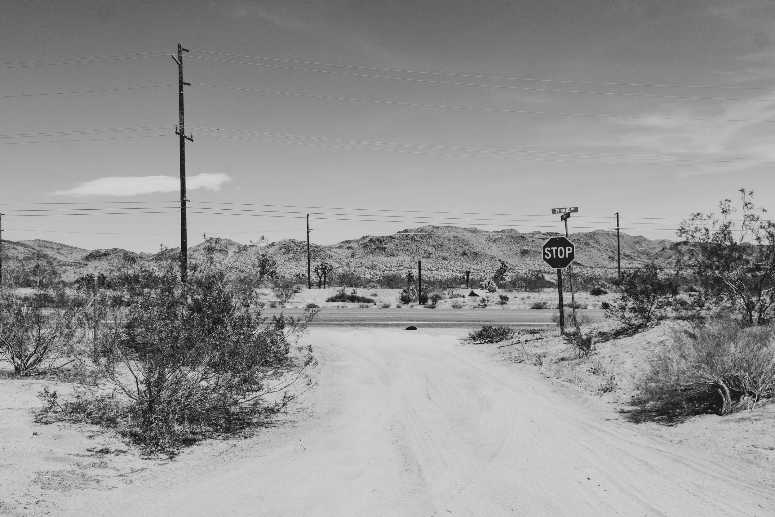 DSCF6187.jpg