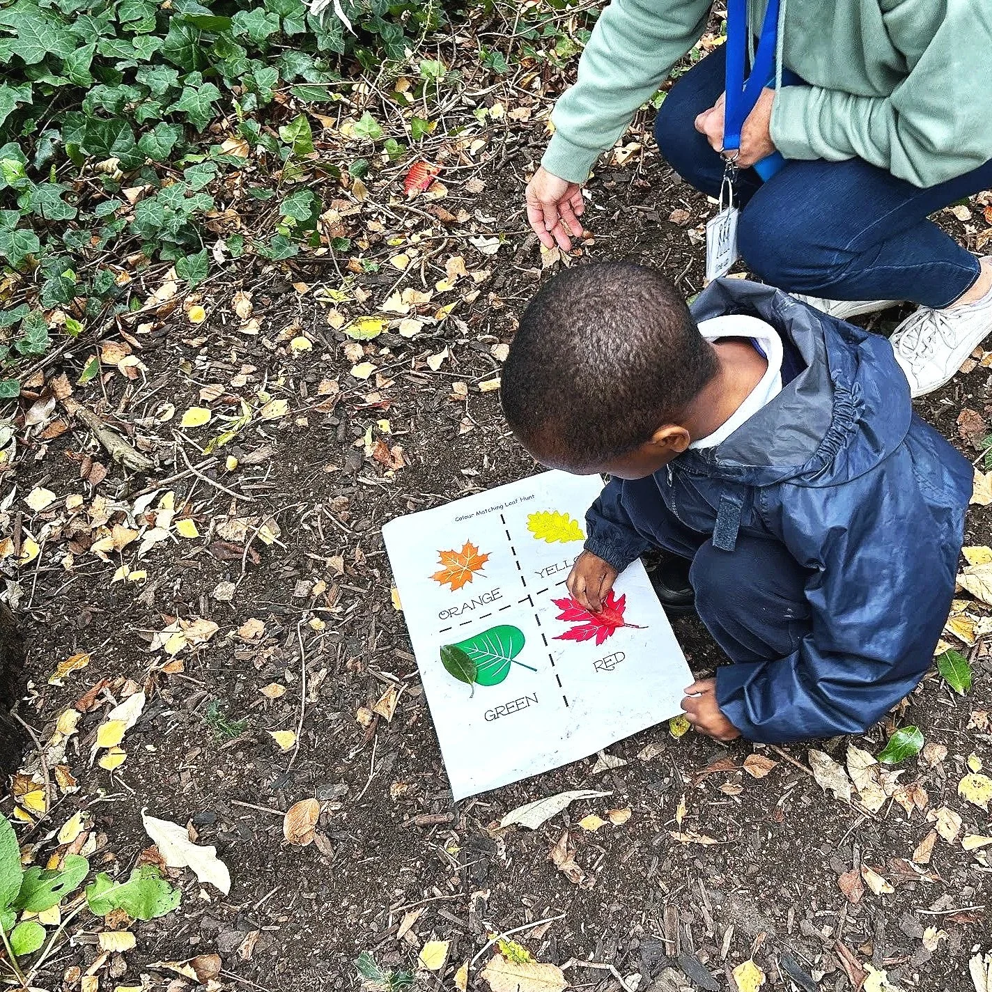 Meeting Additional Needs