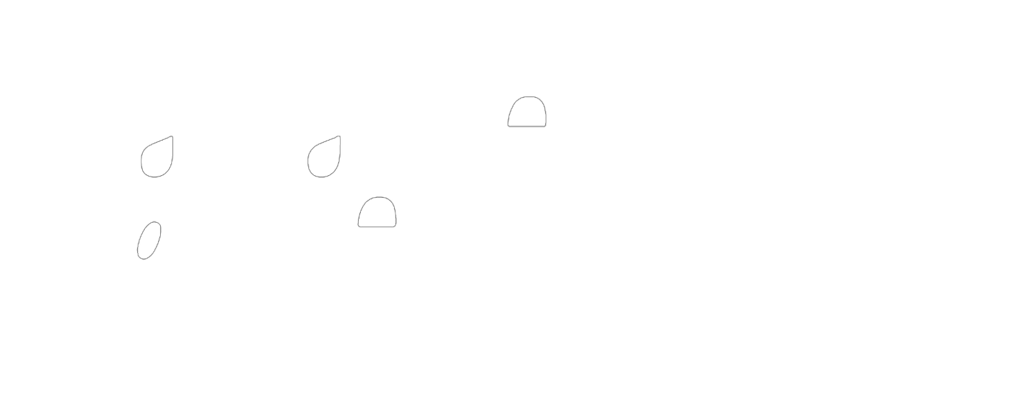 A Taste of New York