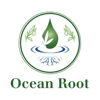 Ocean_transparente_y_espacio_1_d7d442c9-b3f3-4a31-98a2-fa359b74f7da.webp