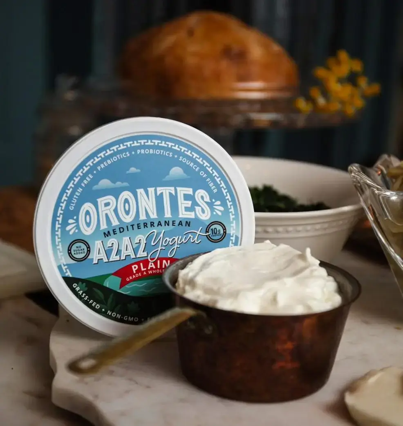 Orontes Yogurt
