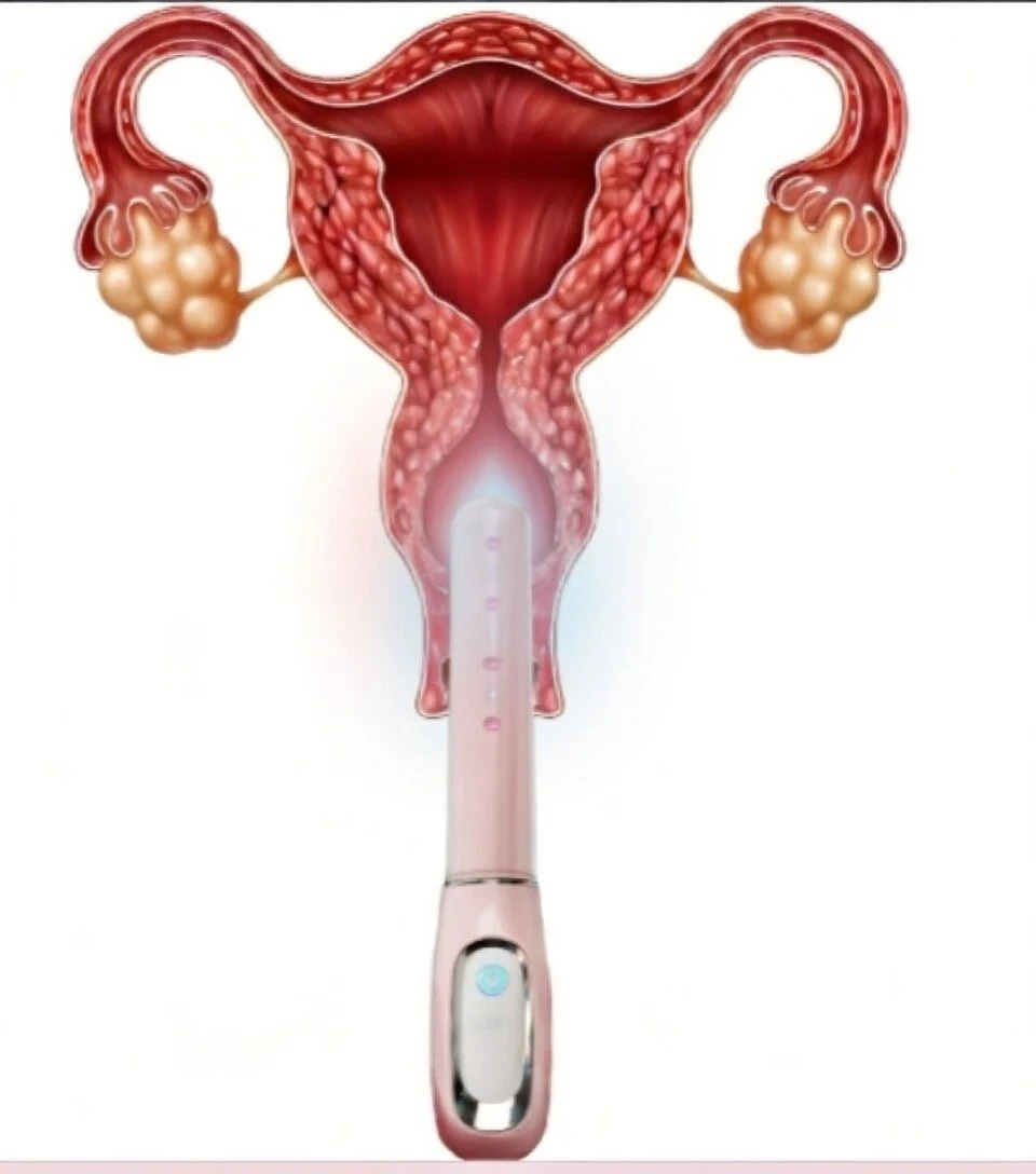 Experience This: V-Lit MMM Kit