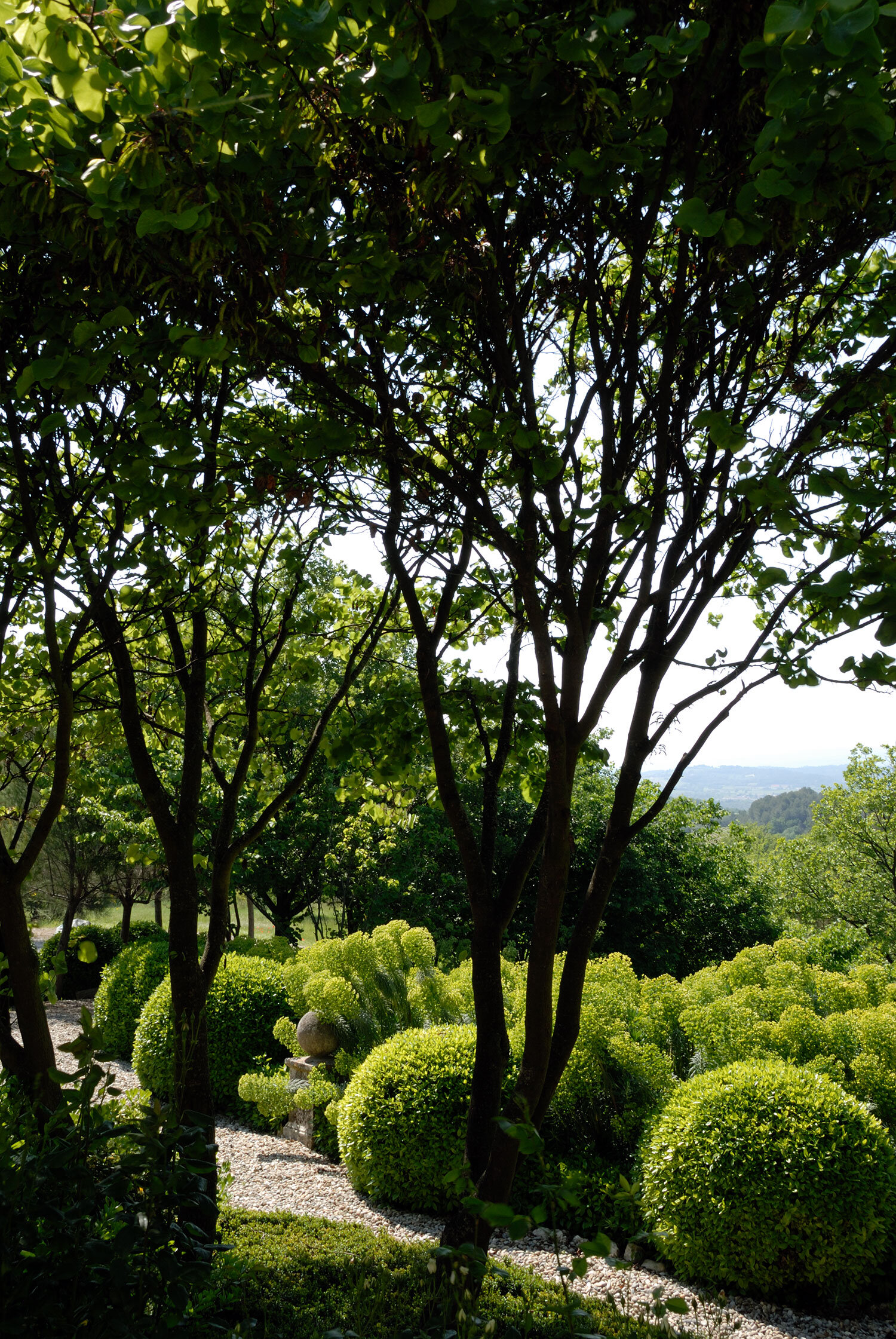 Le-Chesnais-Provence-CHAB_GardenJ04.jpg