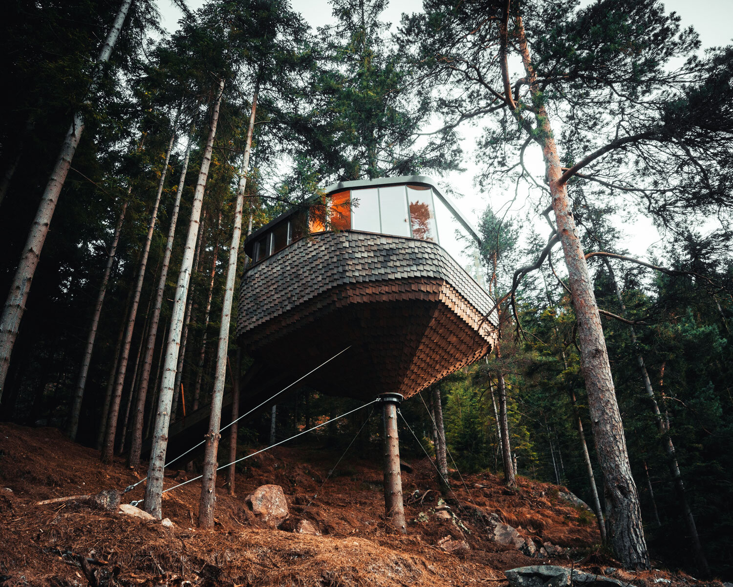 Woodnest-Norway-Treehouse-from-the-ground-Credit-Alek-Pérez.jpg