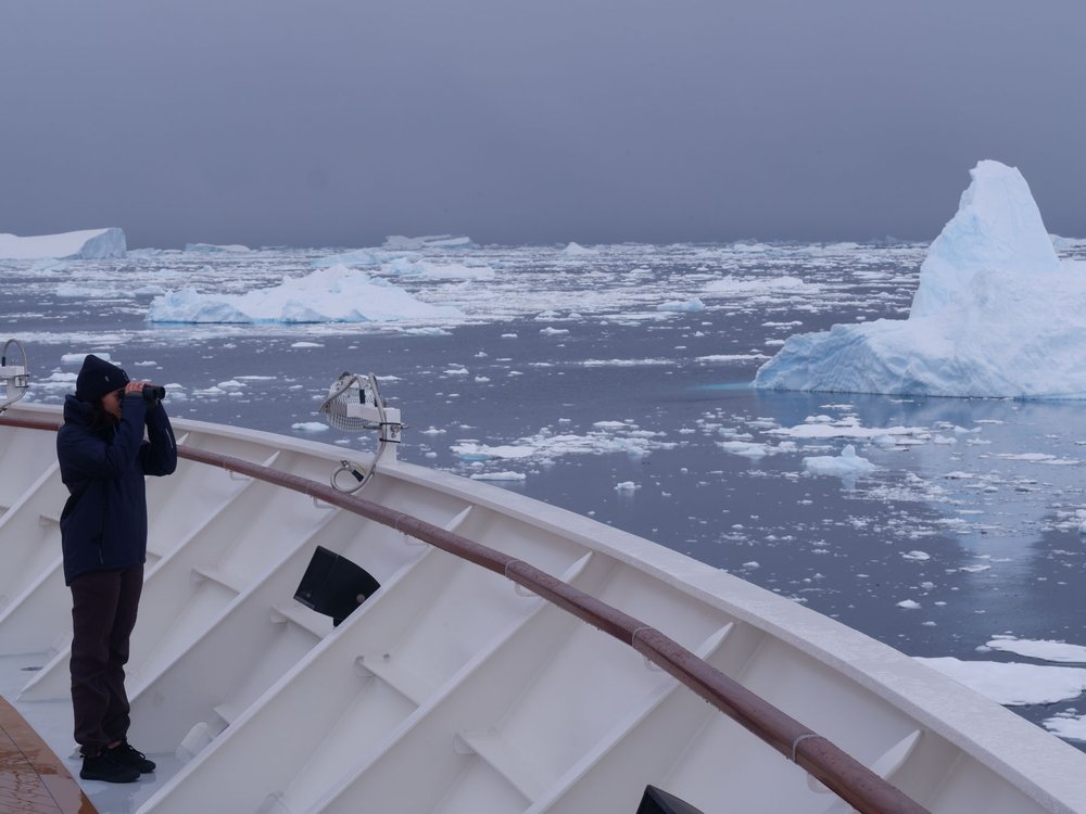 Silversea-Silver-Endeavour-Icebergs-Credit-Thomas-Midulla.jpeg