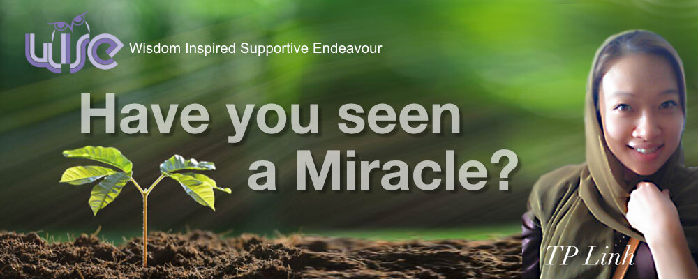 Have You Seen A Miracle?