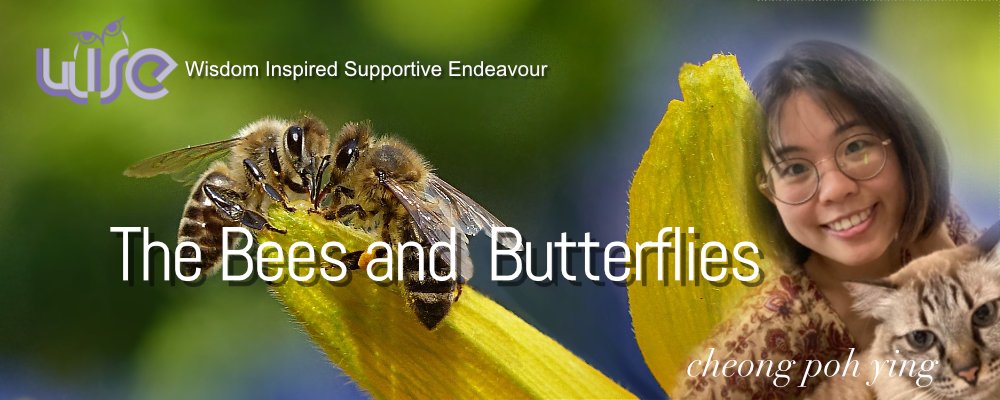 The Bees And Butterflies