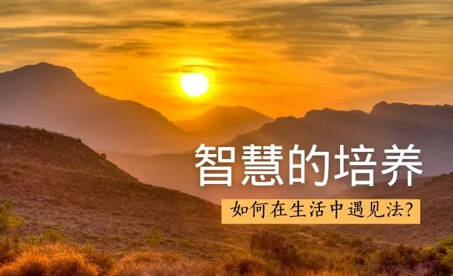 COW01智慧的培养 (华文讲课) Mandarin only