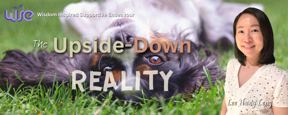 The Upside-Down Reality — WISE