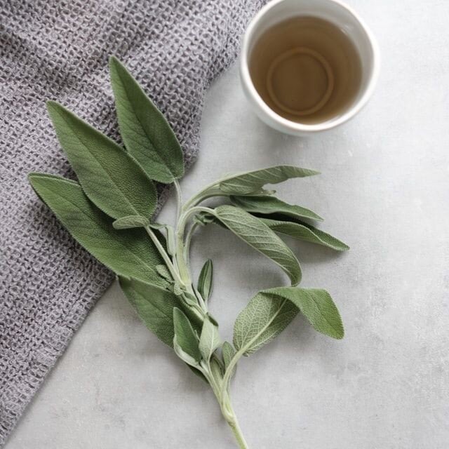 Why Sage Medicine?

Sage &ndash; /seɪdʒ/
Originating from the Latin &ndash; salvus meaning safe

adjective - profoundly wise, learned, clever or intelligent 🧠

In 2014 I was diagnosed with lupus, prescribed a multitude of drugs by my specialist and 